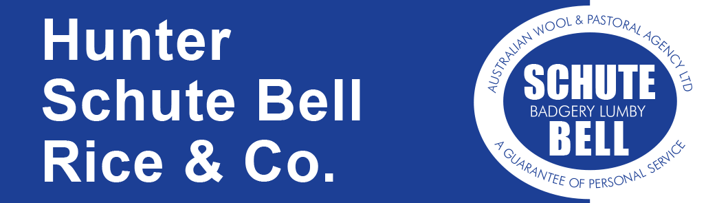 Hunter Schute Bell