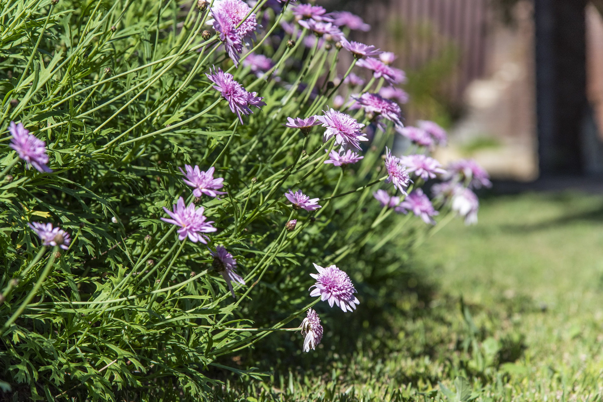 This spring’s housing buzz: Top keywords, homes & hotspots