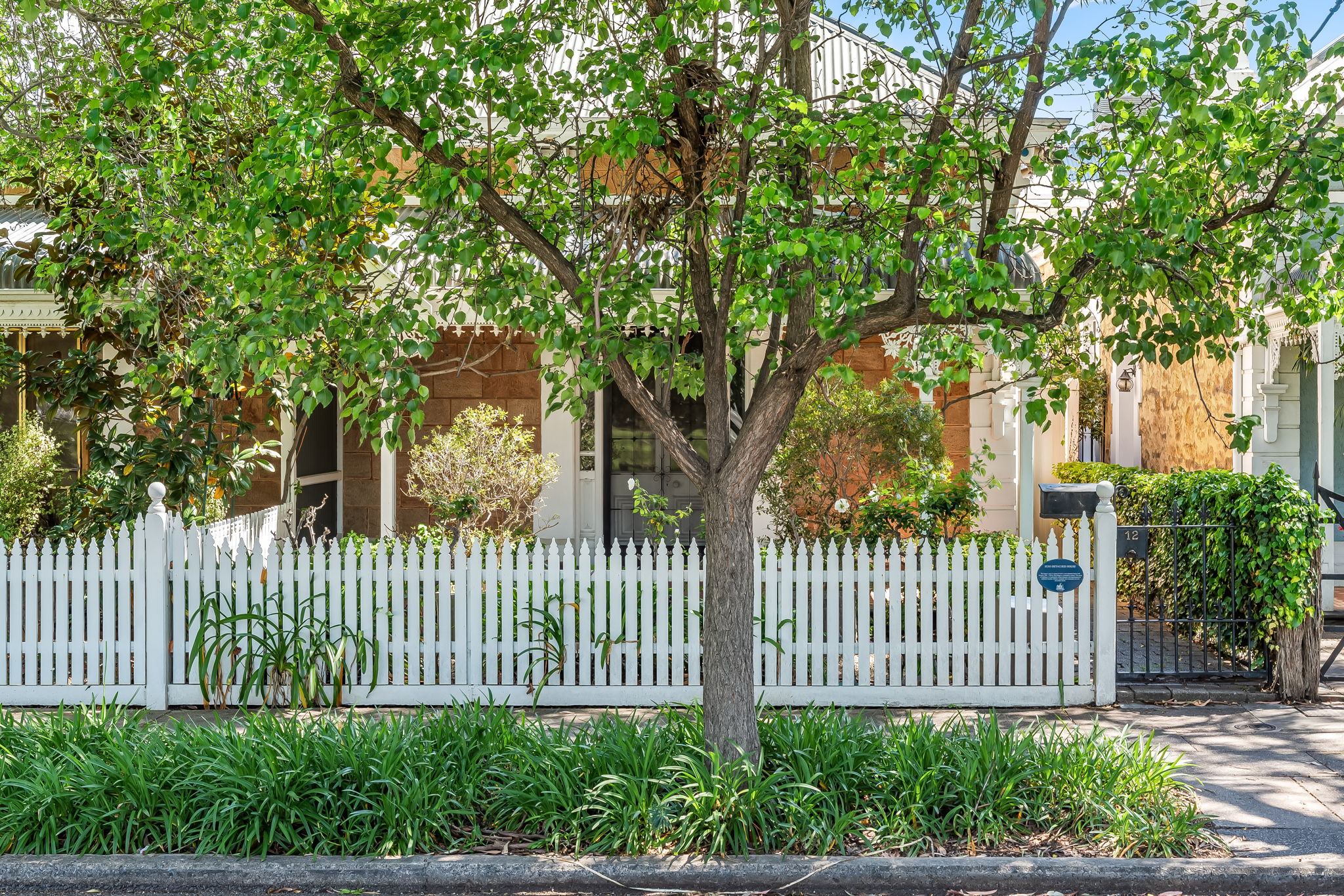 12 Mackinnon Parade, North Adelaide