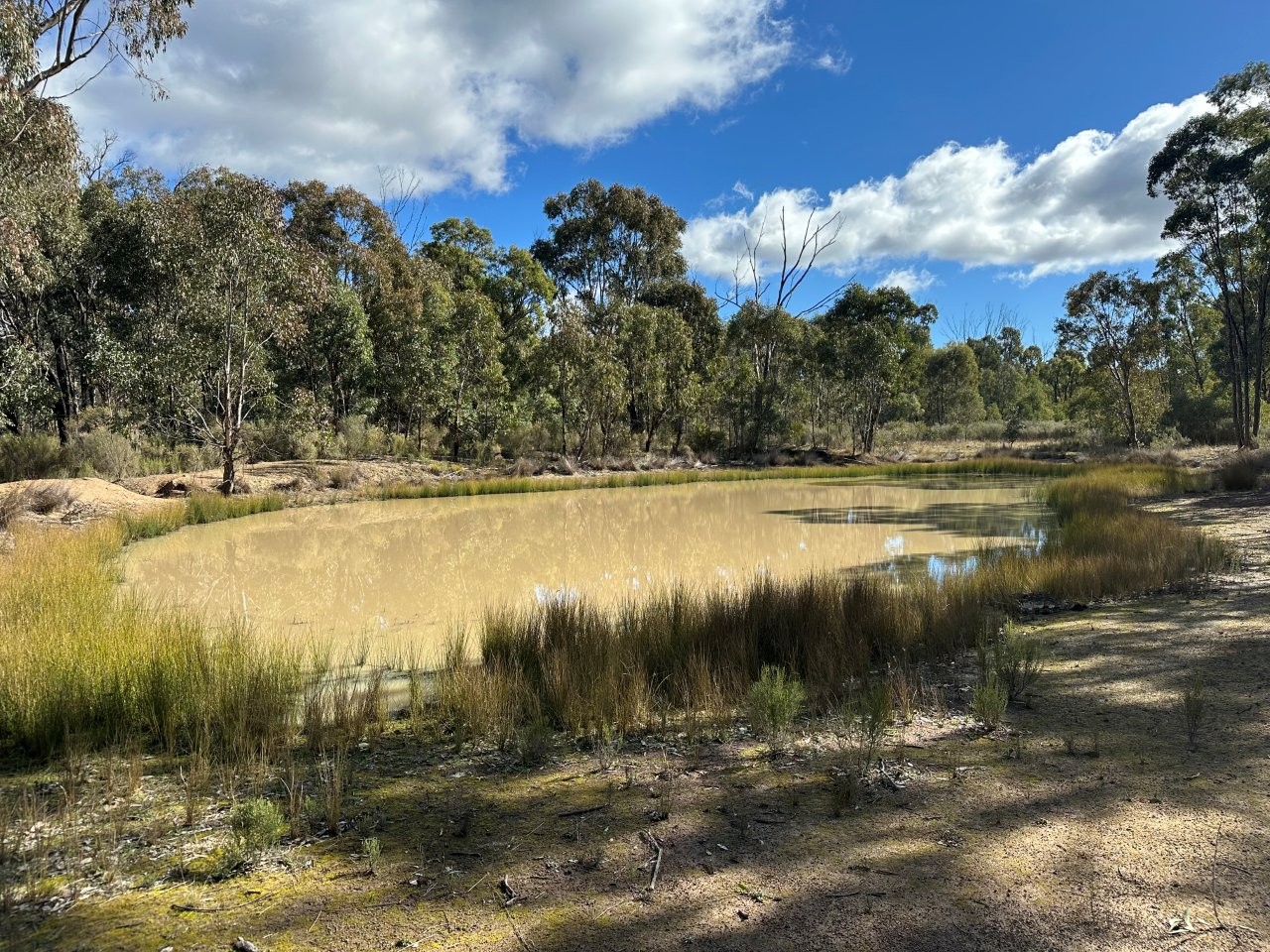 Fantastic Real Estate