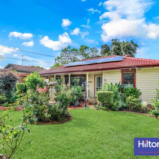 Very Professional and Helpful