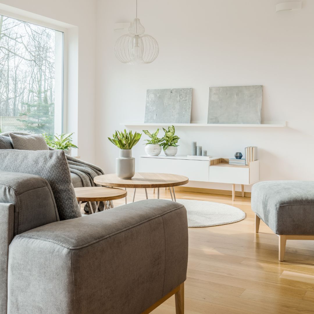 The Ultimate Professional