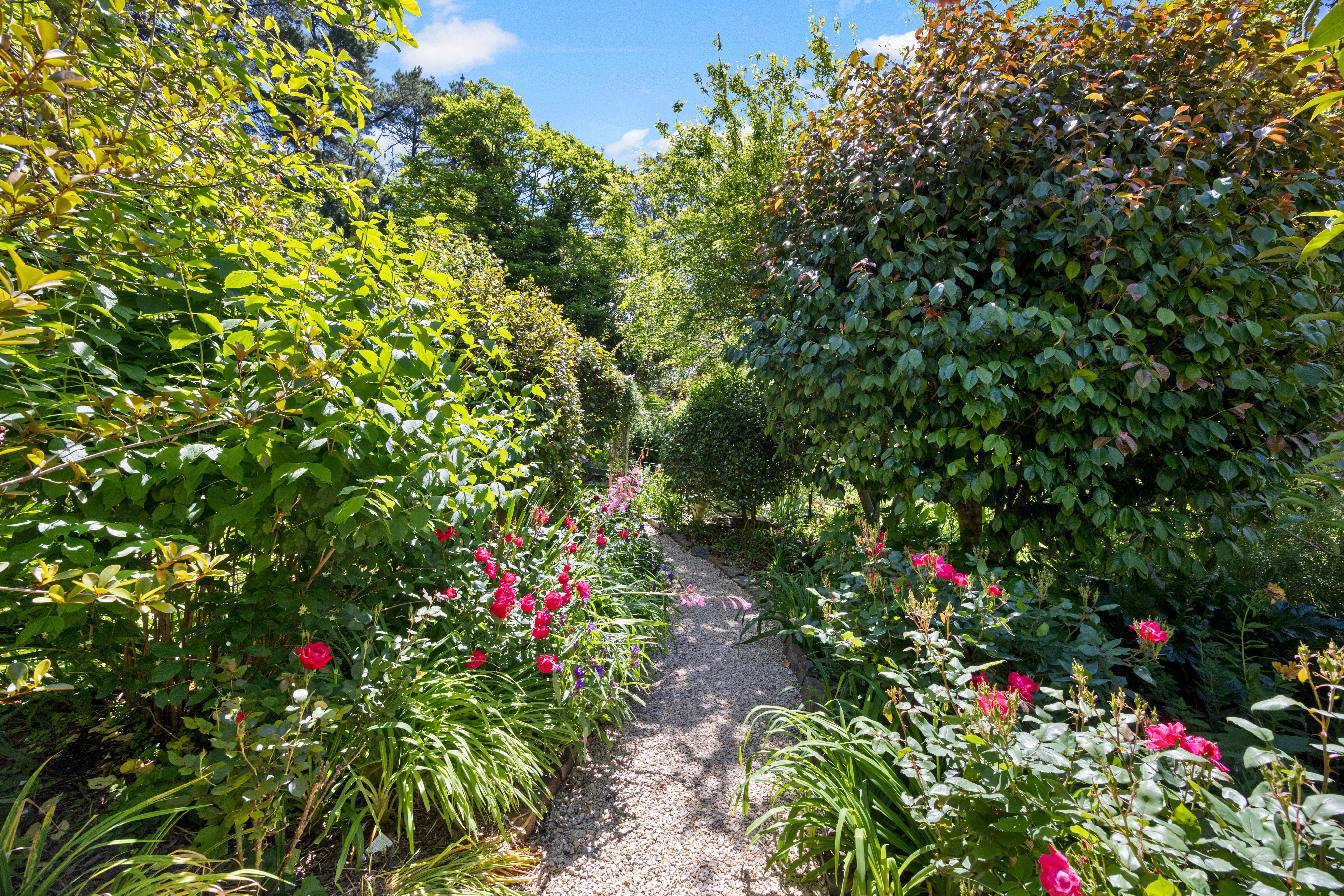 52 Wilpena Terrace, Aldgate