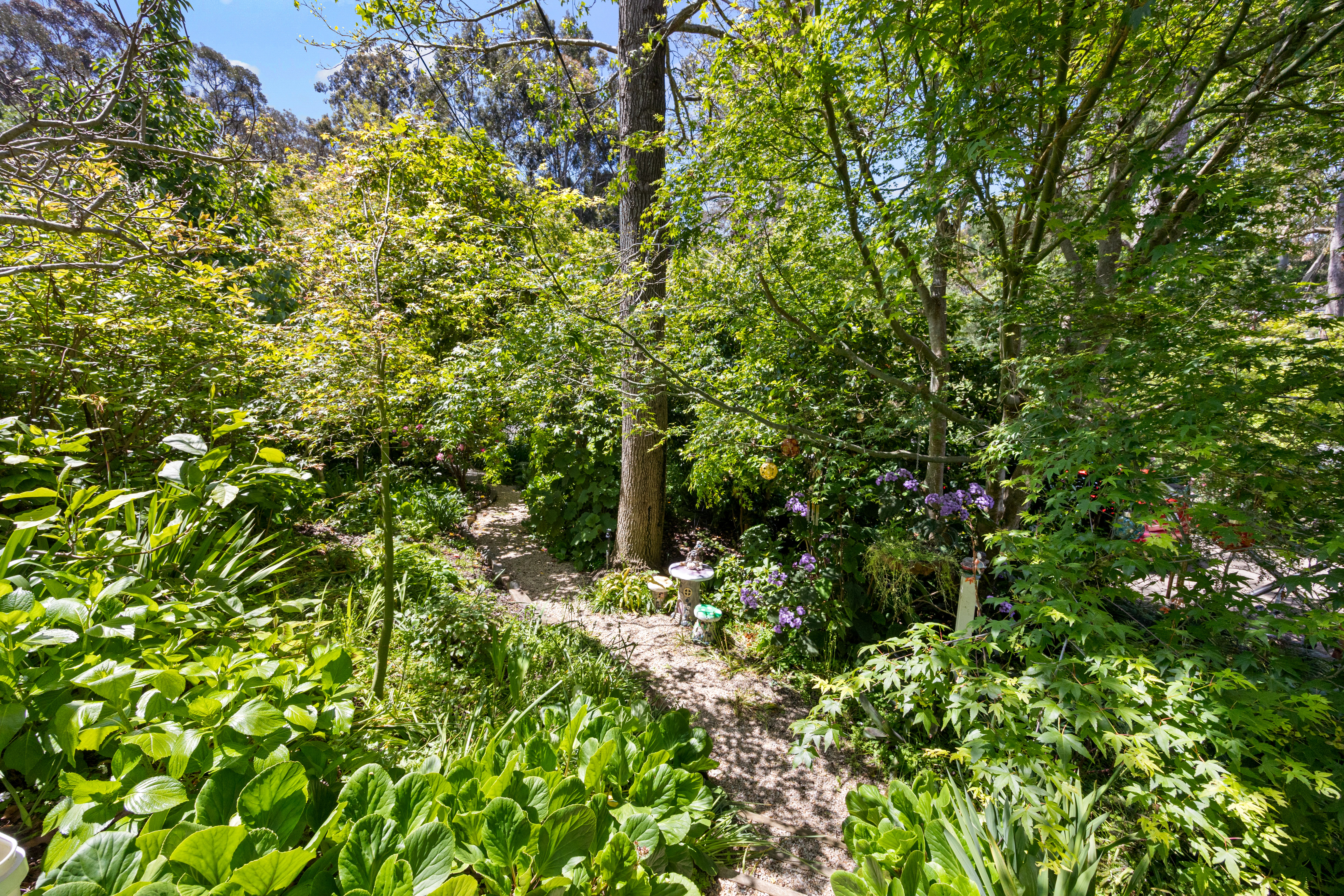 52 Wilpena Terrace, Aldgate