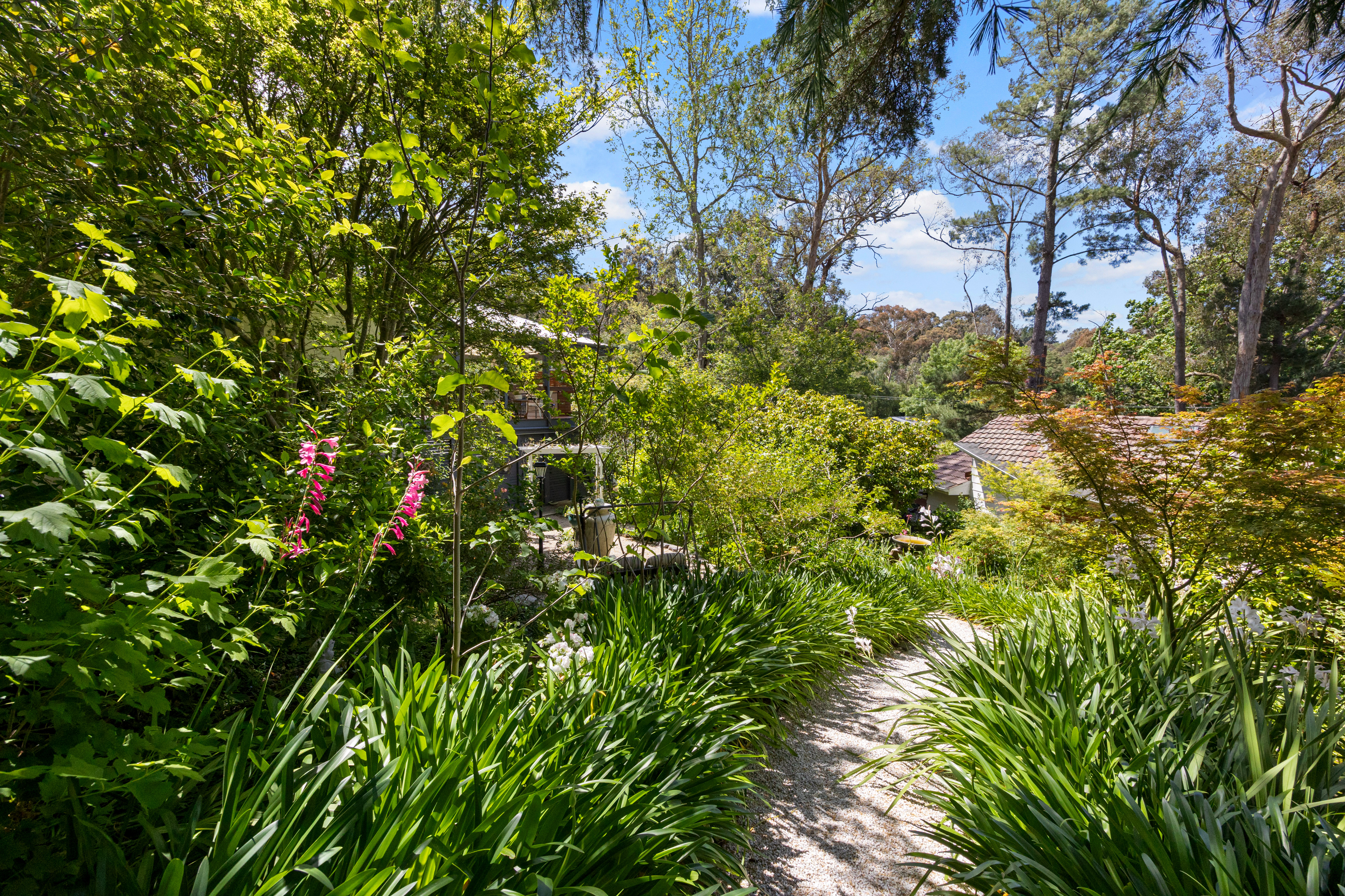 52 Wilpena Terrace, Aldgate