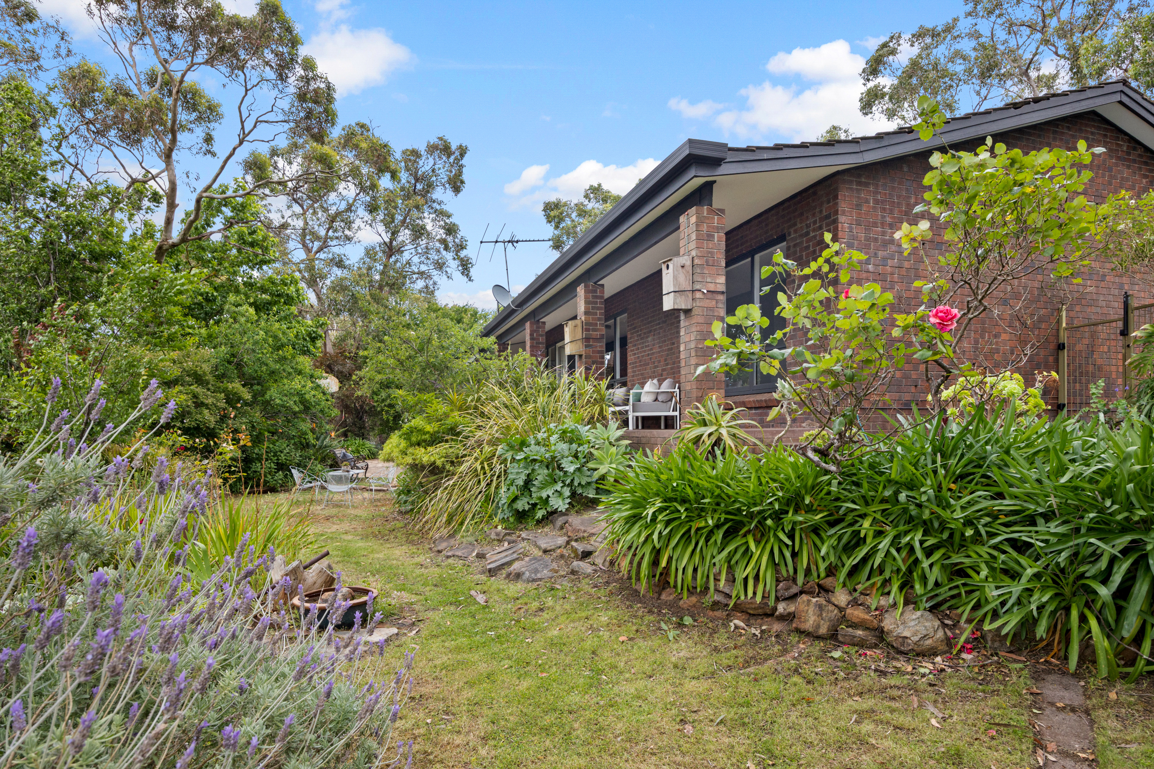 264 Ackland Hill Road, Coromandel East