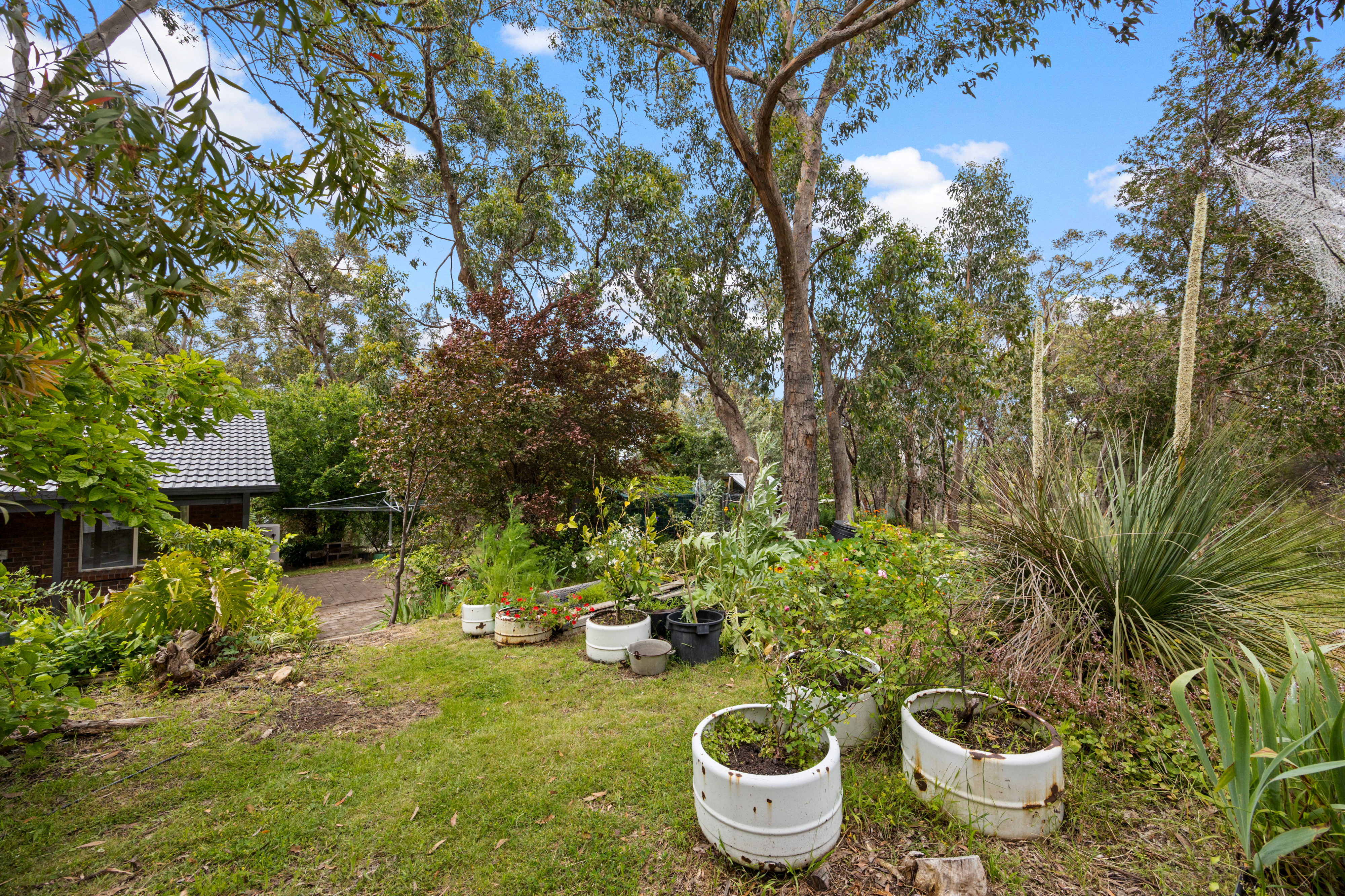 264 Ackland Hill Road, Coromandel East