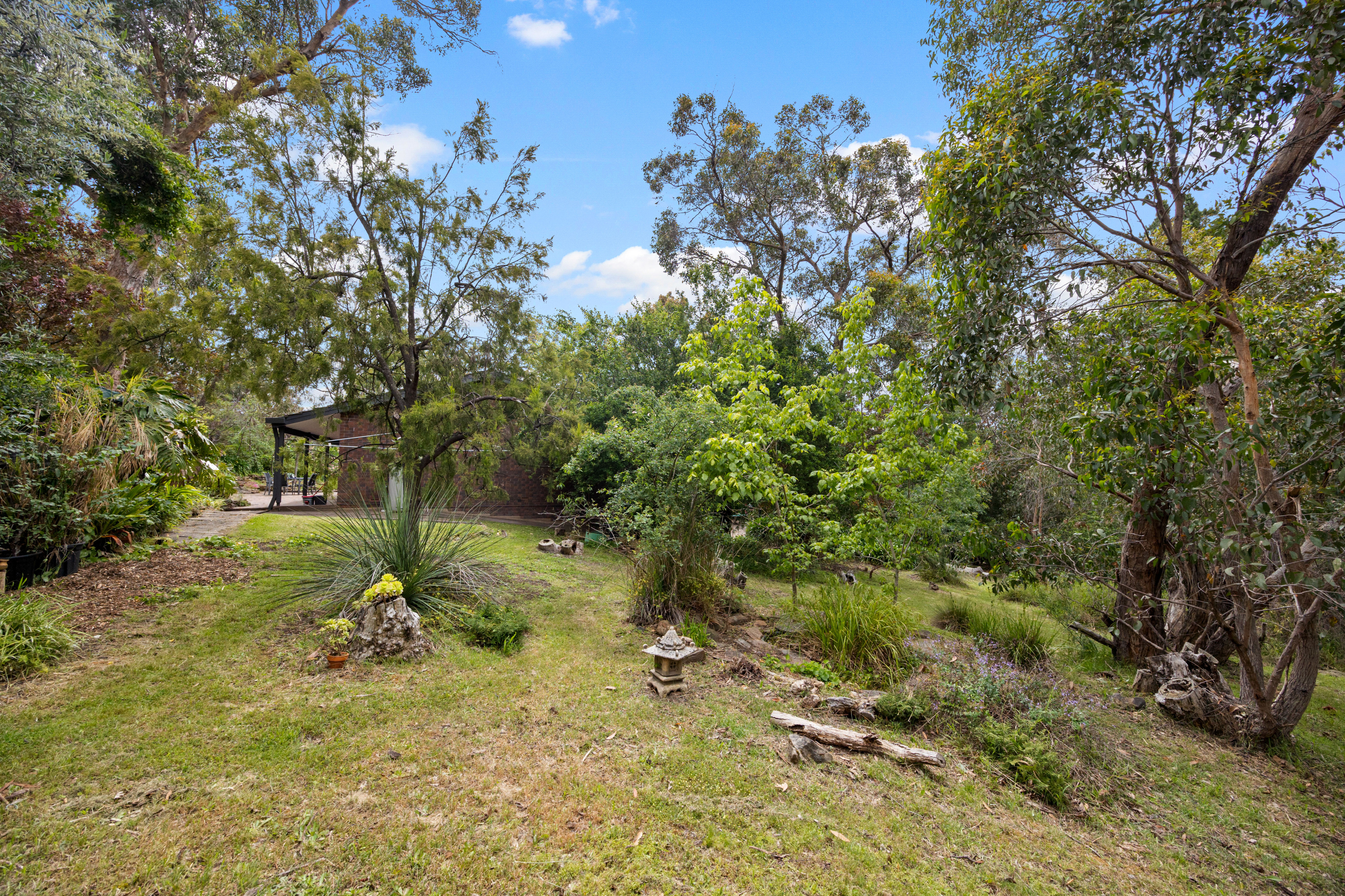 264 Ackland Hill Road, Coromandel East