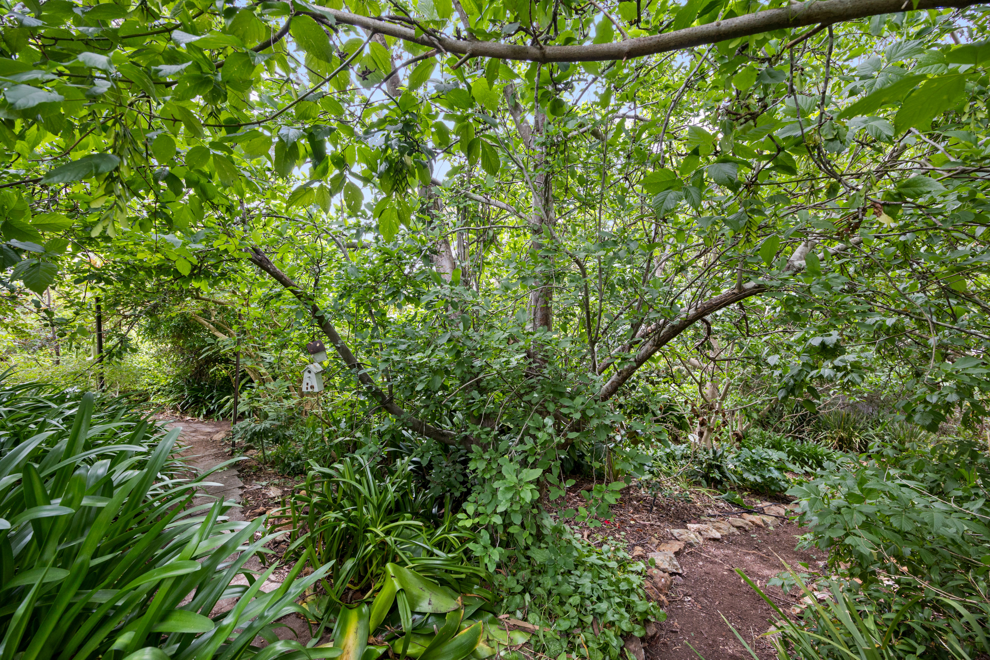 264 Ackland Hill Road, Coromandel East