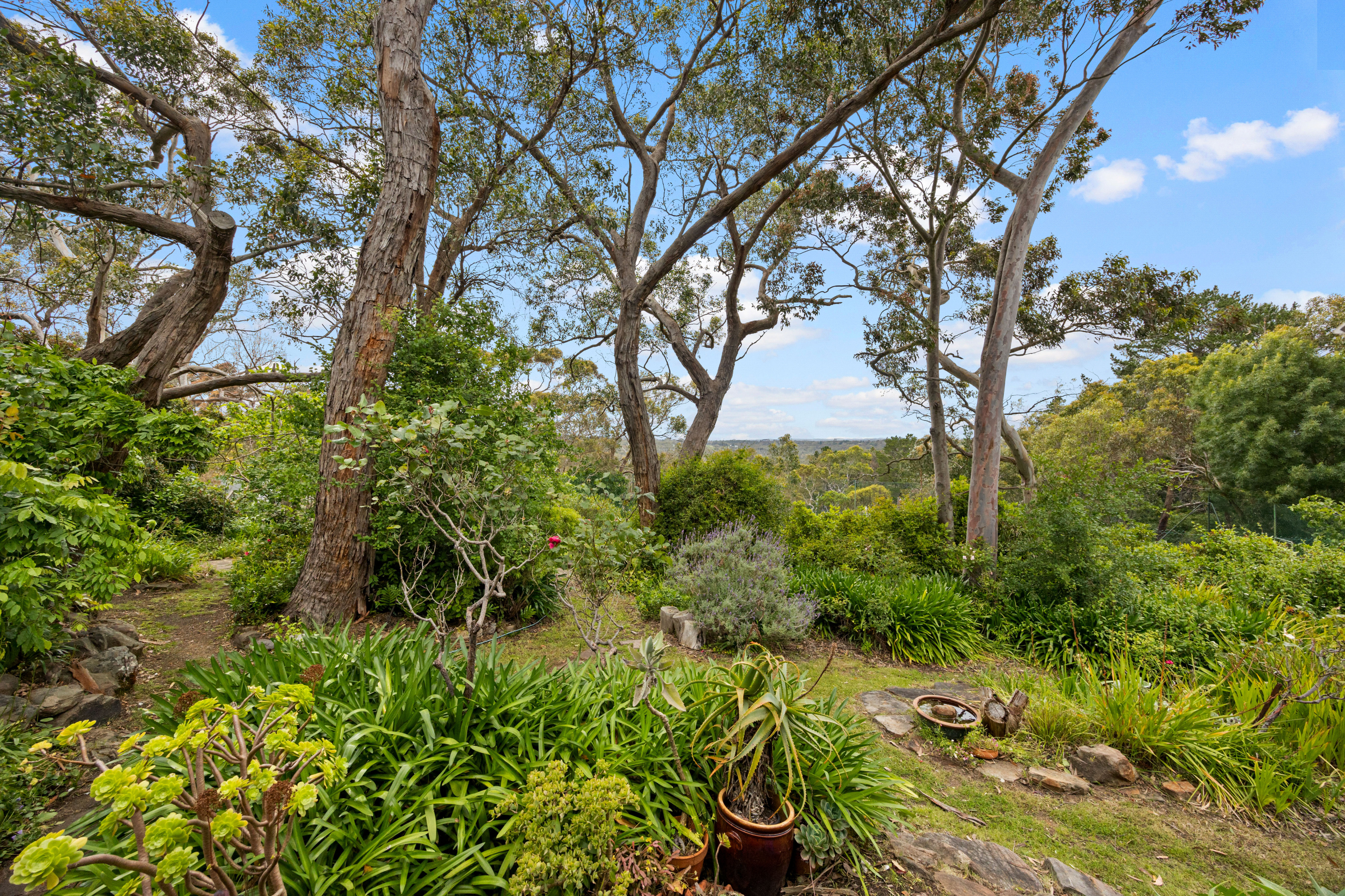 264 Ackland Hill Road, Coromandel East