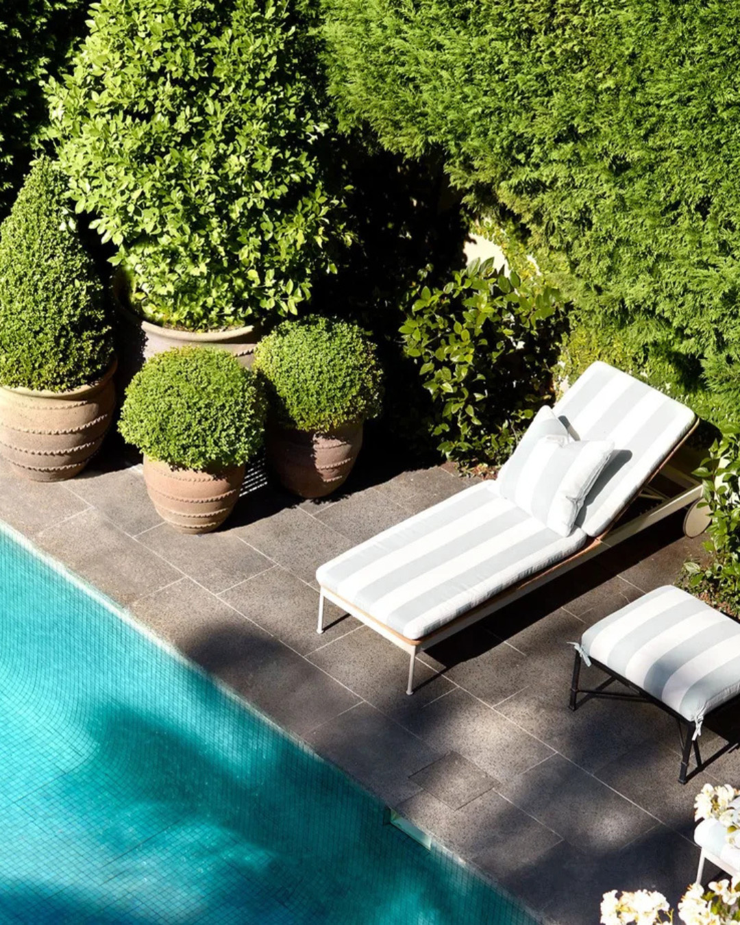 Beat the Heat this Summer!