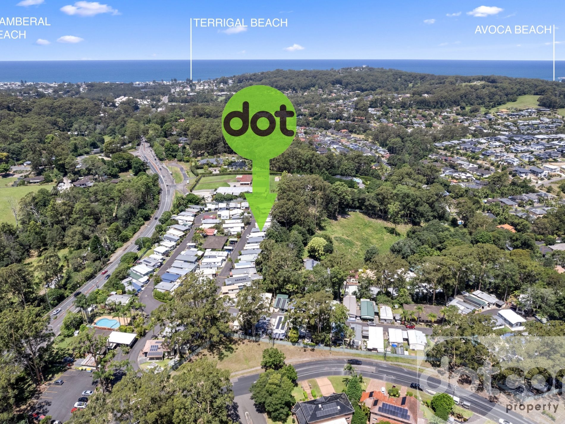 Excellent Professional Trust Worthy Agent