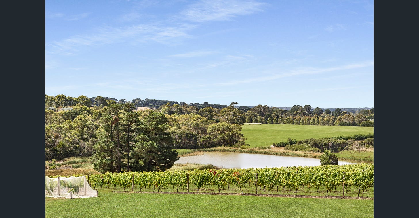 uploads%2F1769024014419 x8kd61y8y2 d183fb80c6b6f2c66d8fb7e36d4e7e90%2Fimage+%282%29