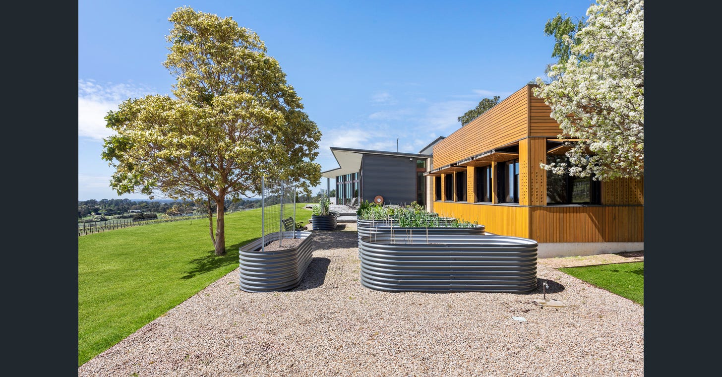 uploads%2F1769024014475 znby4nhvdyj d183fb80c6b6f2c66d8fb7e36d4e7e90%2Fimage+%2823%29