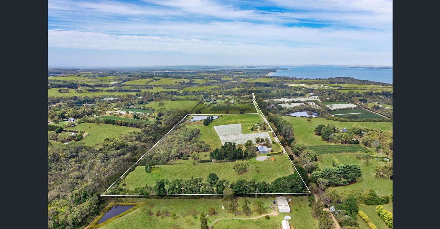 uploads%2F1769024014482 xtlw5xp5gj d183fb80c6b6f2c66d8fb7e36d4e7e90%2Fimage+%2826%29