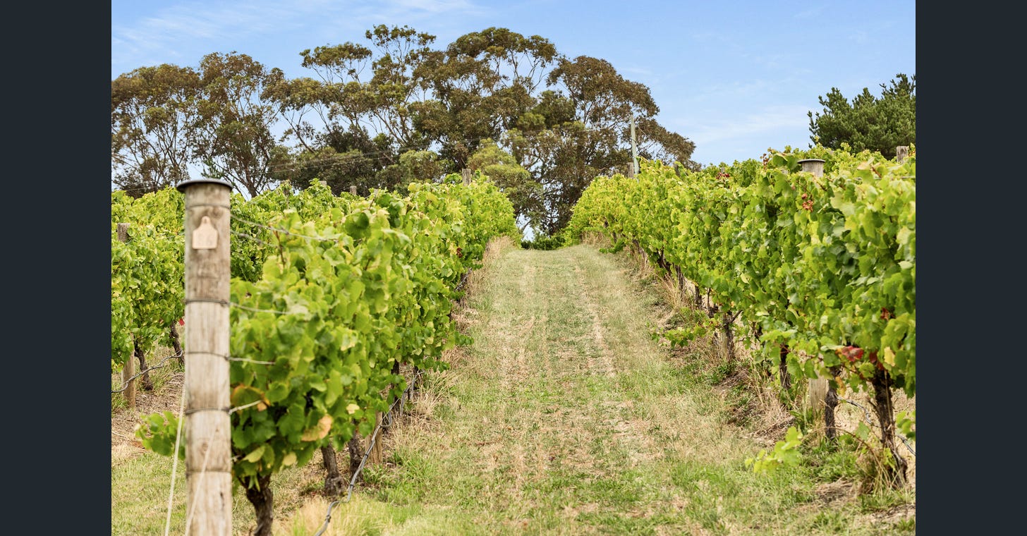 uploads%2F1769024014487 n0scibpj5d d183fb80c6b6f2c66d8fb7e36d4e7e90%2Fimage+%2828%29