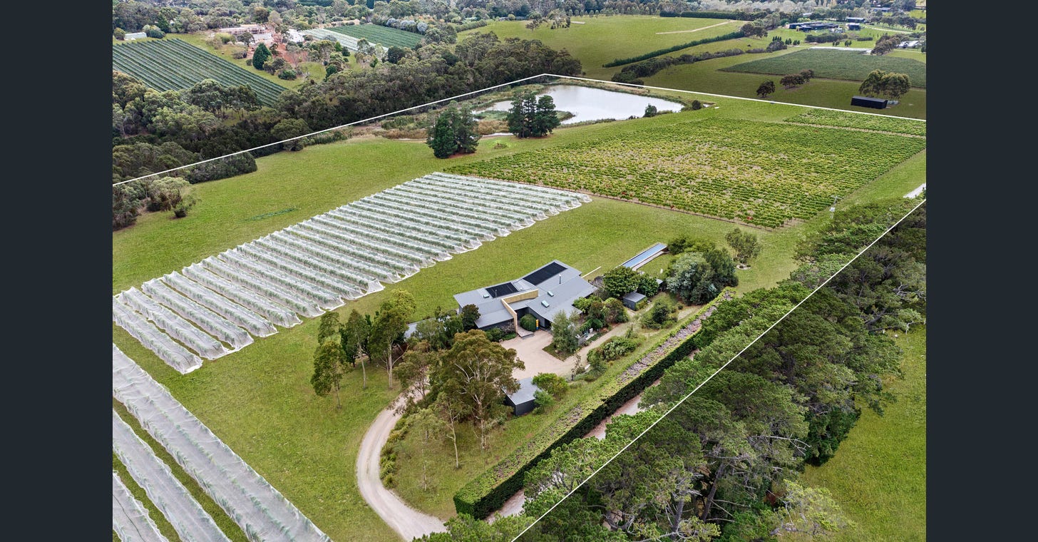 uploads%2F1769024014490 76qj5pbfb27 d183fb80c6b6f2c66d8fb7e36d4e7e90%2Fimage+%2829%29