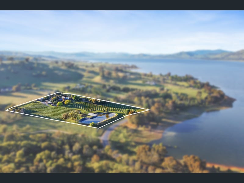 Single Property 58 uploads%2F1769024770956 if4fnvtt5ud b3dd63c961c3f3003620e57be18a0a26%2Fimage+%285%29