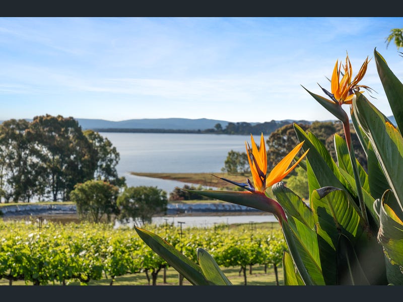 Single Property 56 uploads%2F1769024771010 fm0k3023zcj b3dd63c961c3f3003620e57be18a0a26%2Fimage+%2818%29