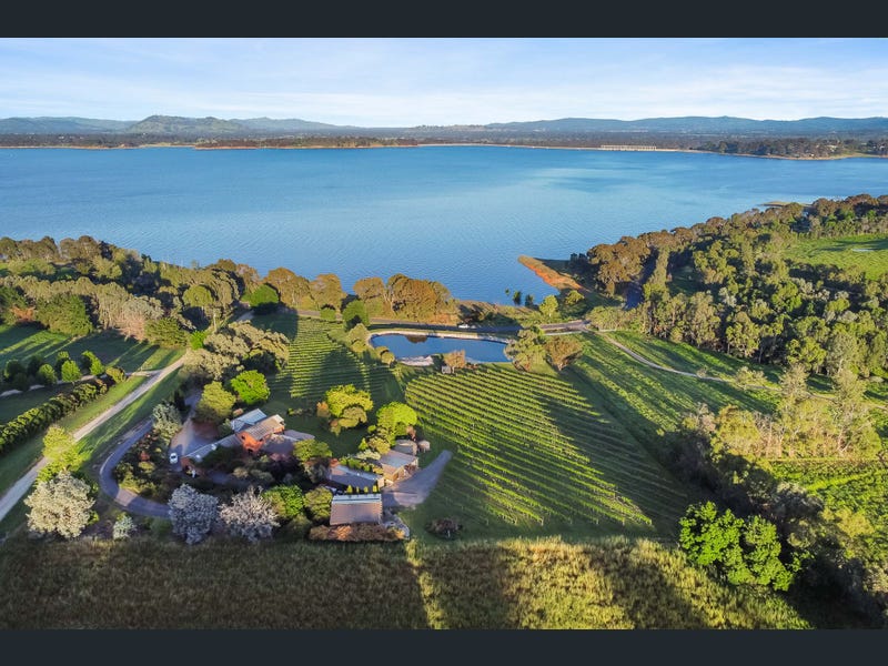 uploads%2F1769024771039 5vym459xhet b3dd63c961c3f3003620e57be18a0a26%2Fimage