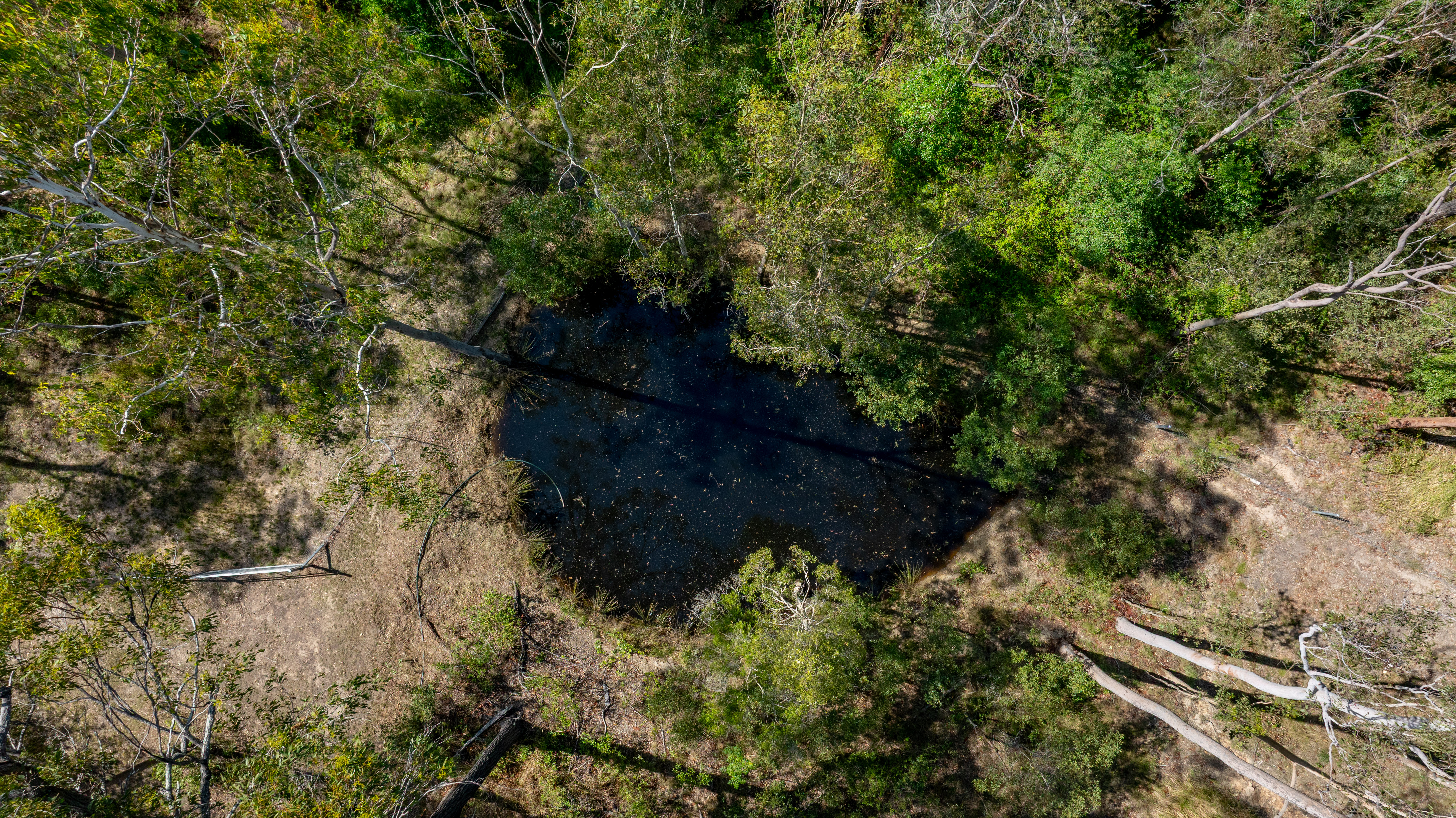 49 Arborfourteen Road, Glenwood For Sale by Farmbuy.com - image 28