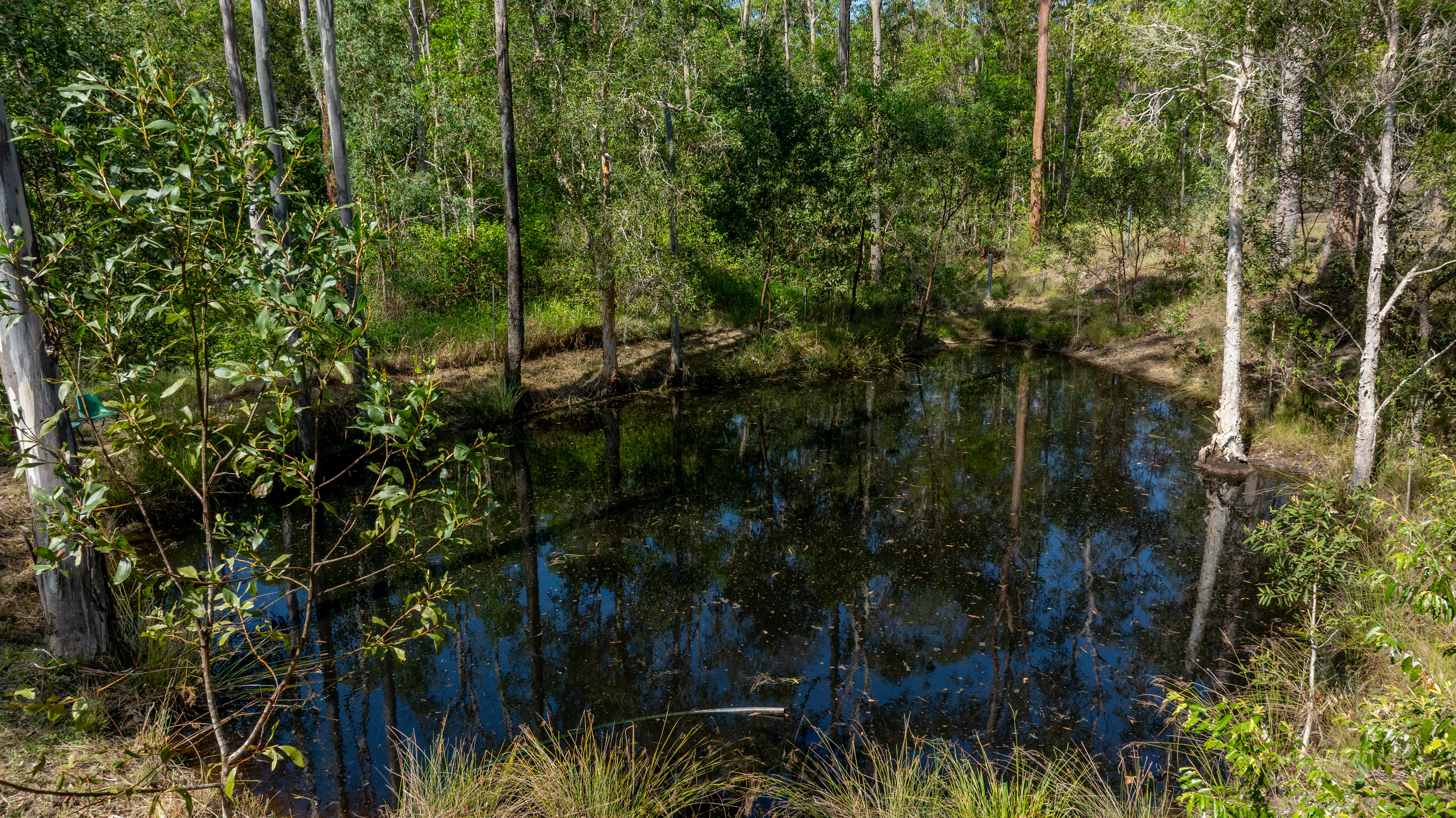 49 Arborfourteen Road, Glenwood For Sale by Farmbuy.com - image 25