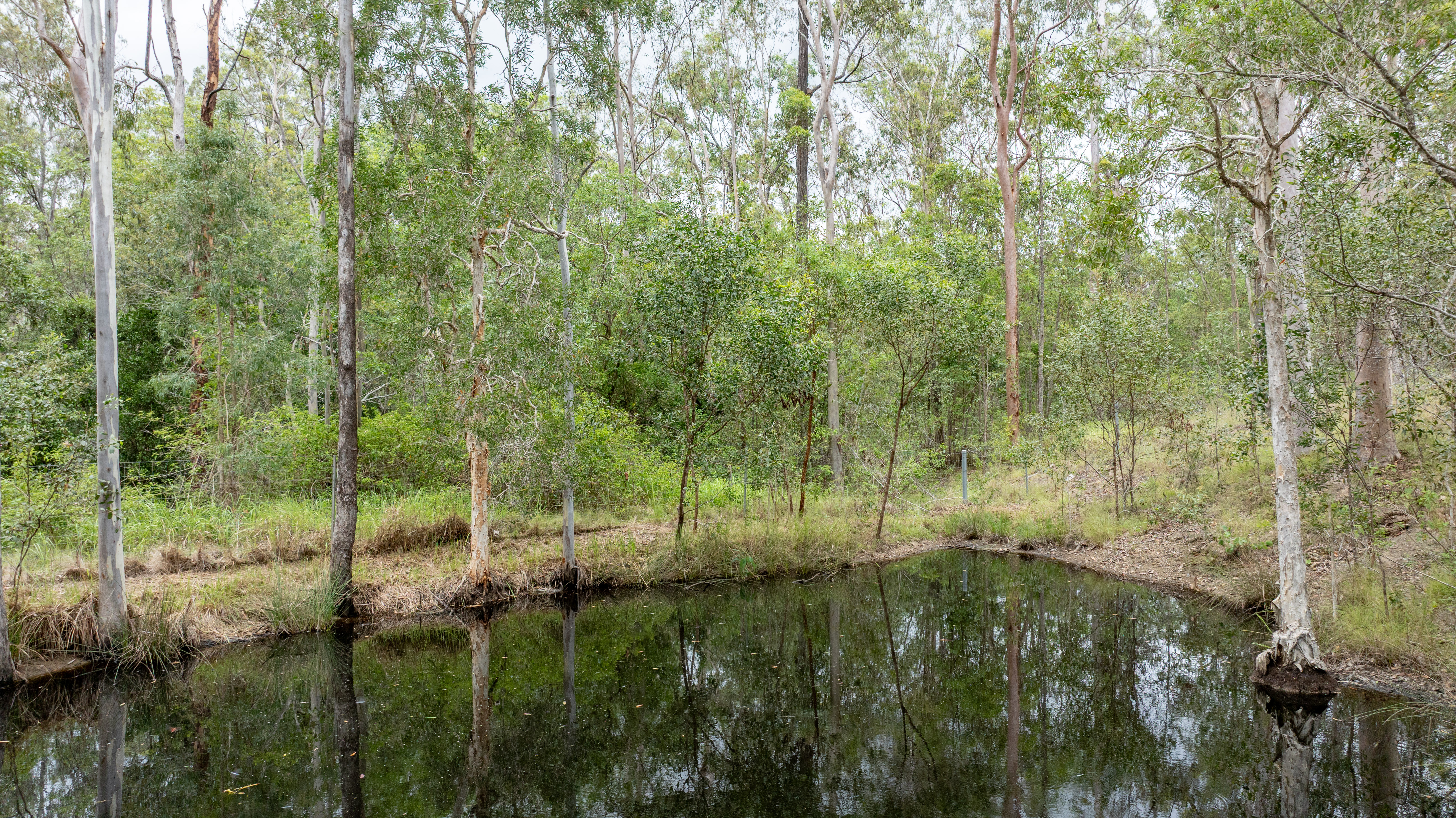 49 Arborfourteen Road, Glenwood For Sale by Farmbuy.com - image 24