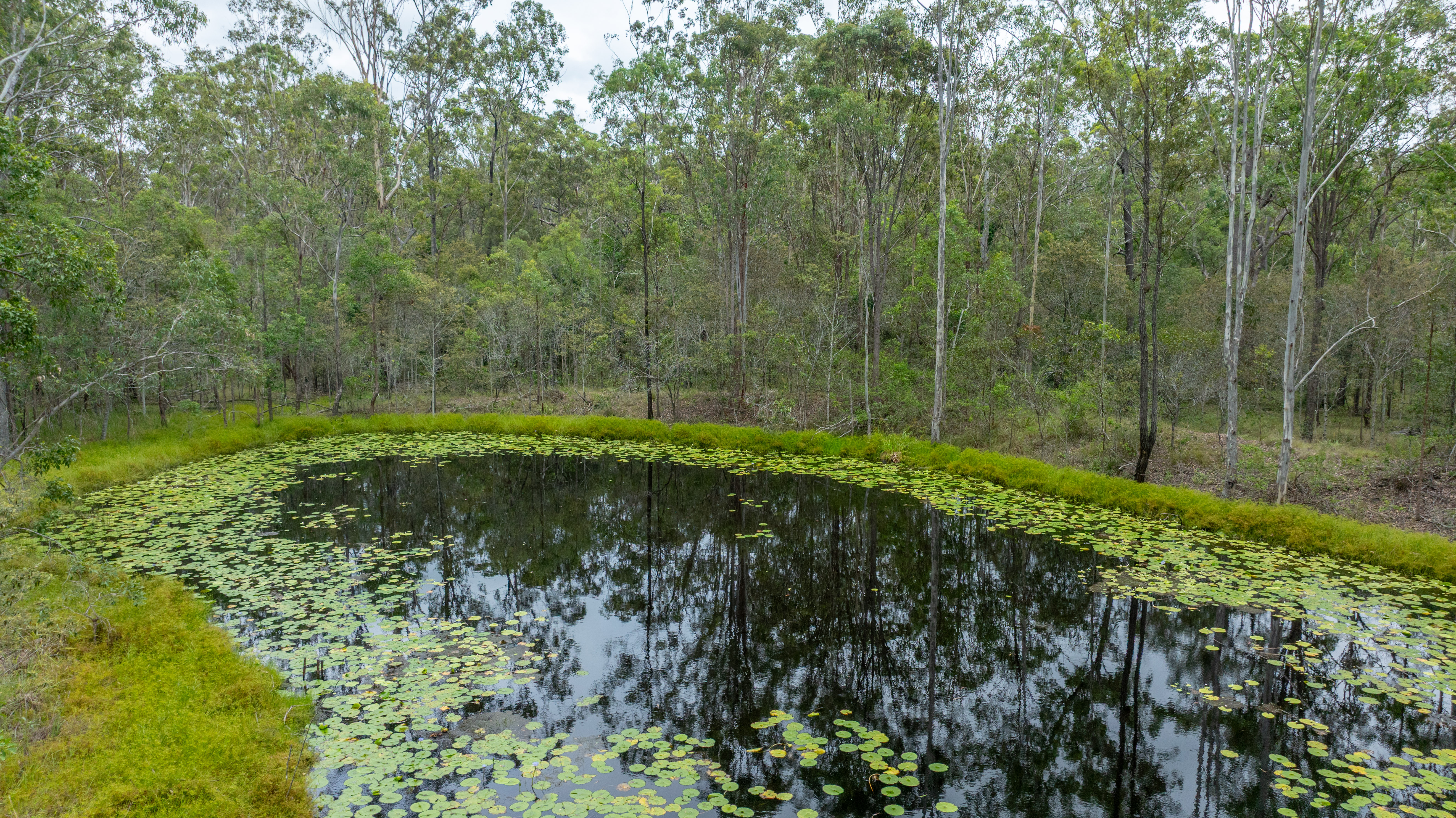 49 Arborfourteen Road, Glenwood For Sale by Farmbuy.com - image 26