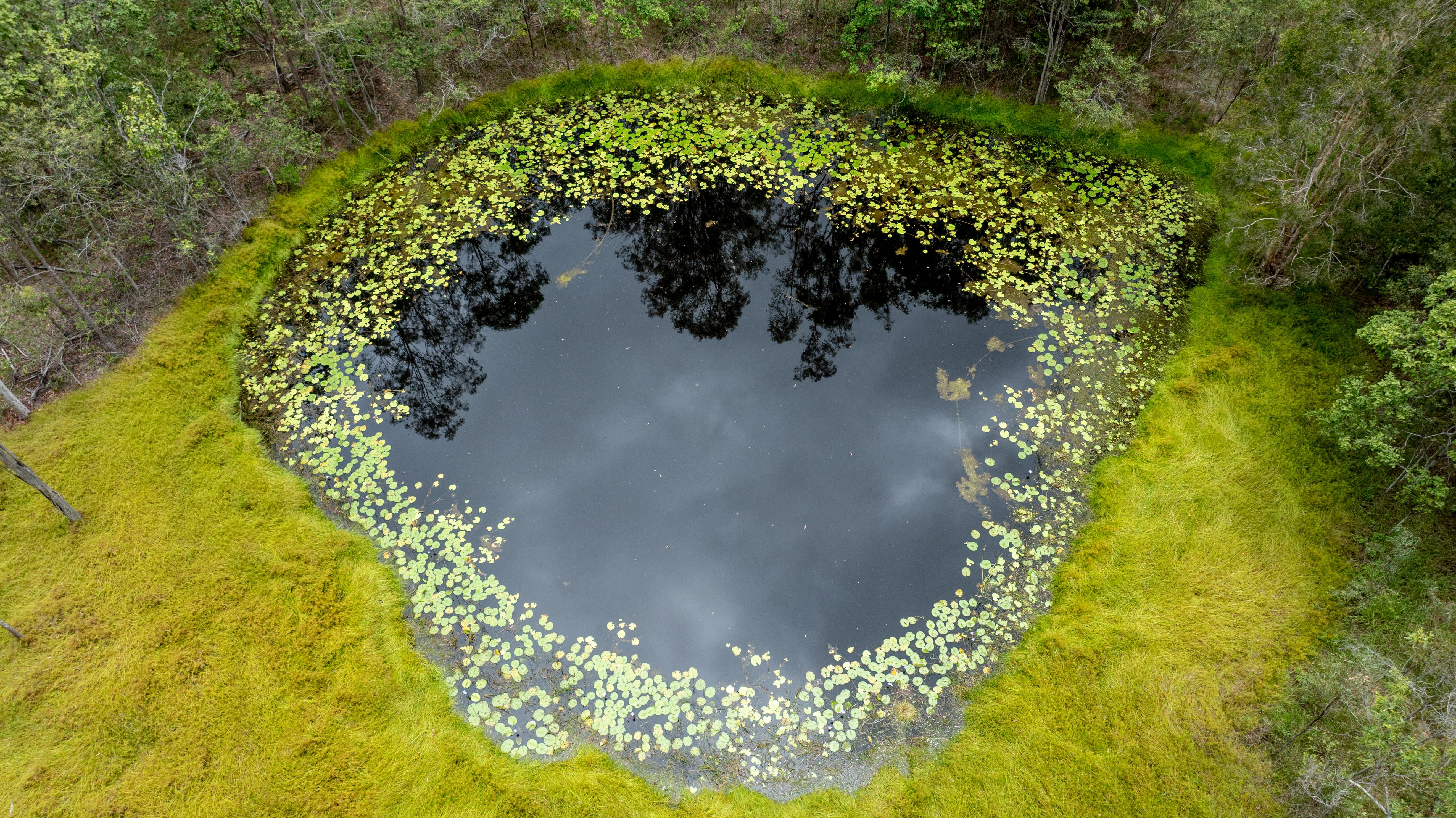 49 Arborfourteen Road, Glenwood For Sale by Farmbuy.com - image 27