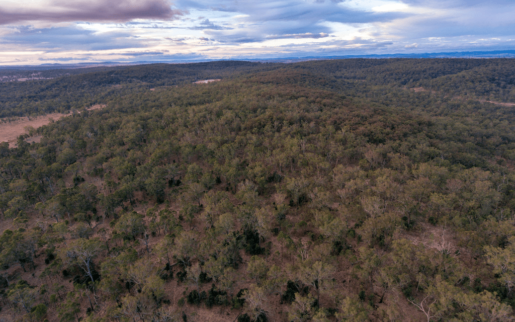 Renting a Home V Buying a Home in Noosa Waters