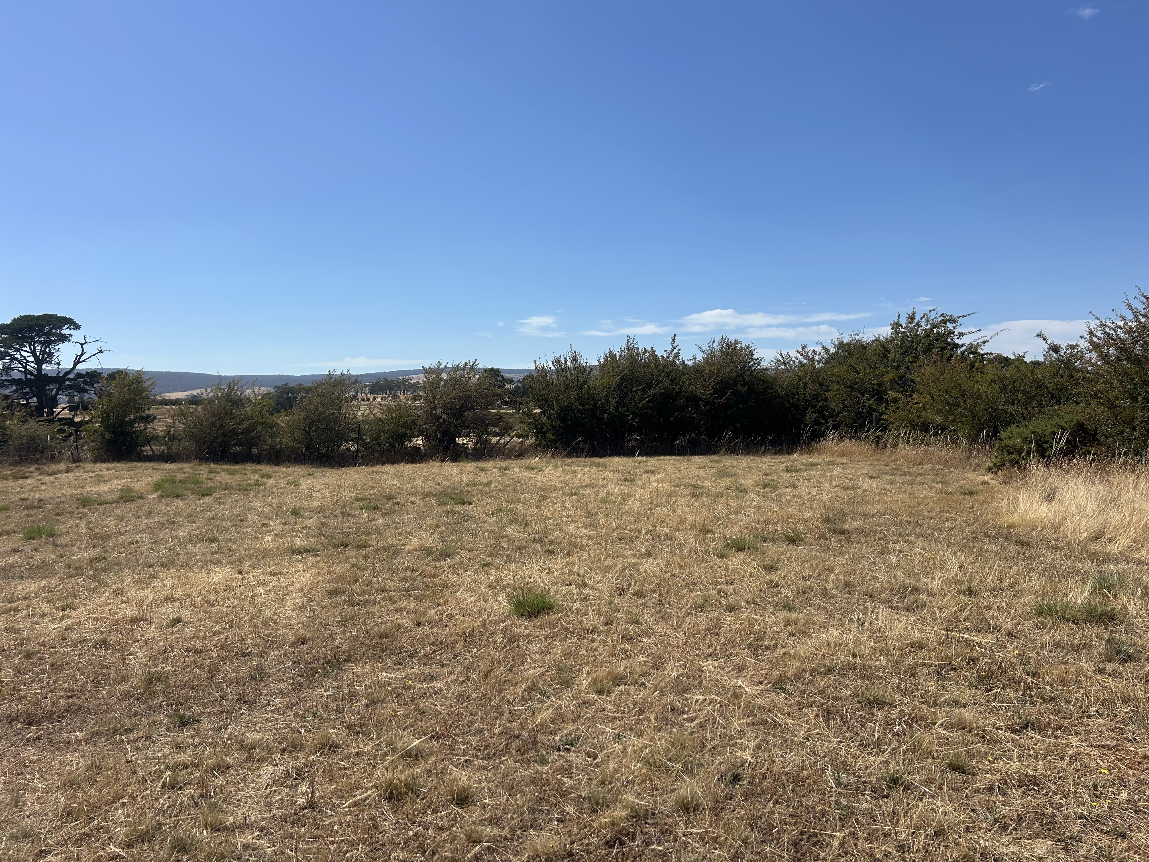 31 Torlesse Street, Campbell Town TAS 7210