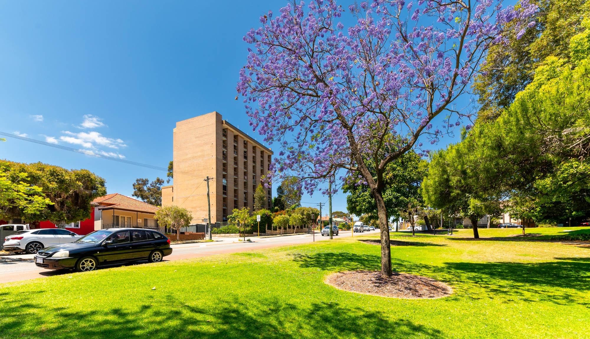 Exceptional Service from Con Paioff