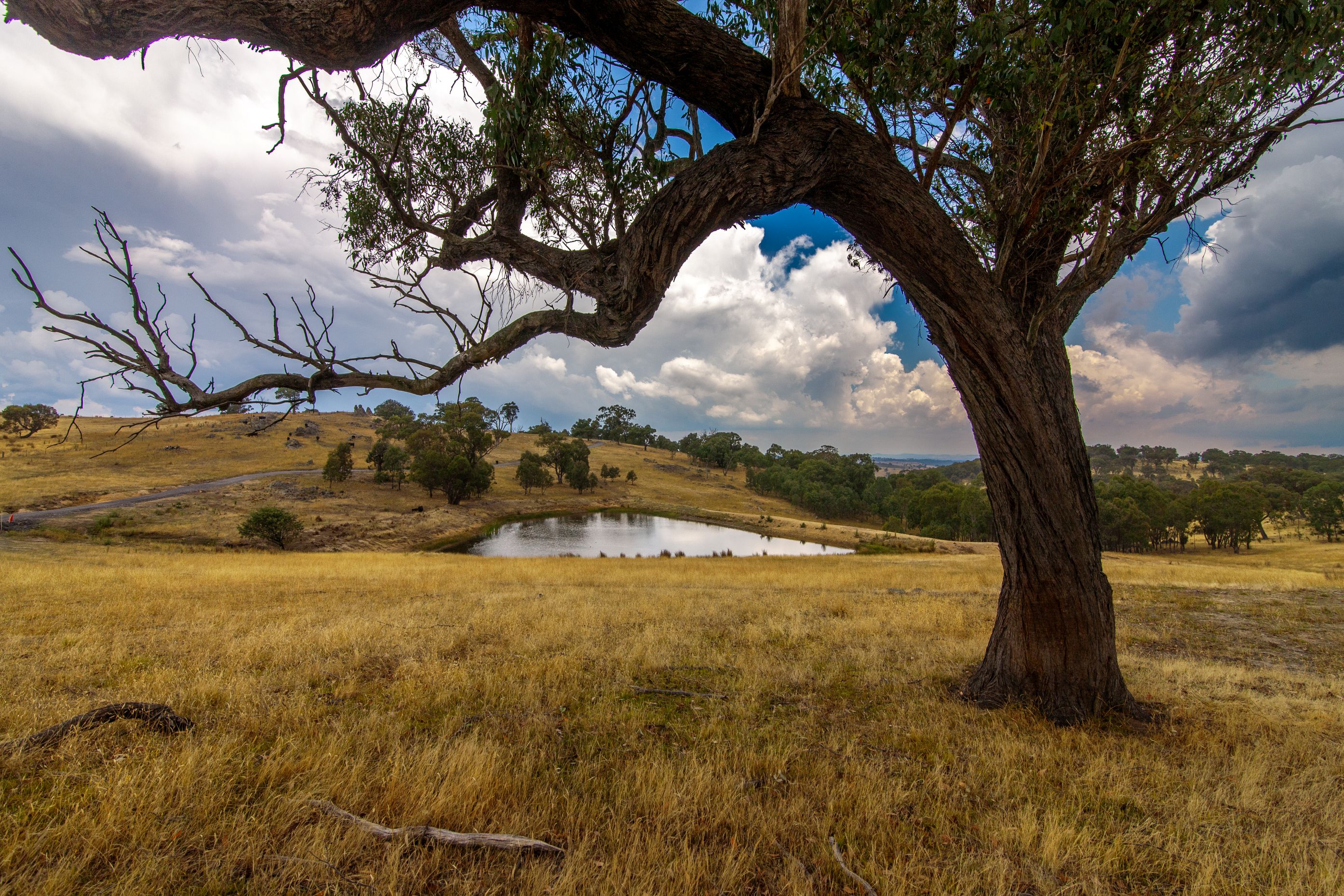 2400 SAPPHIRE ROAD, Wheeo NSW 2583