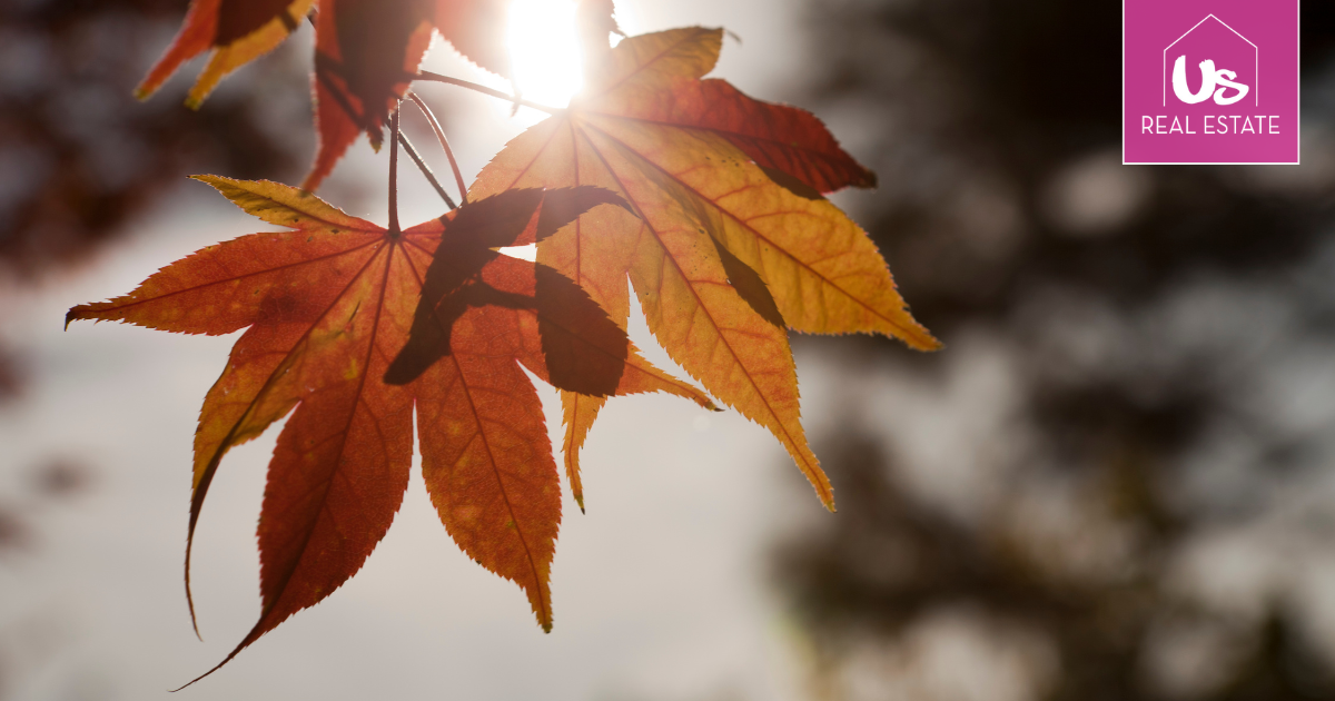 Sweaters, Leaves & Fresh Starts: Giving Your Home an Autumn Reset
