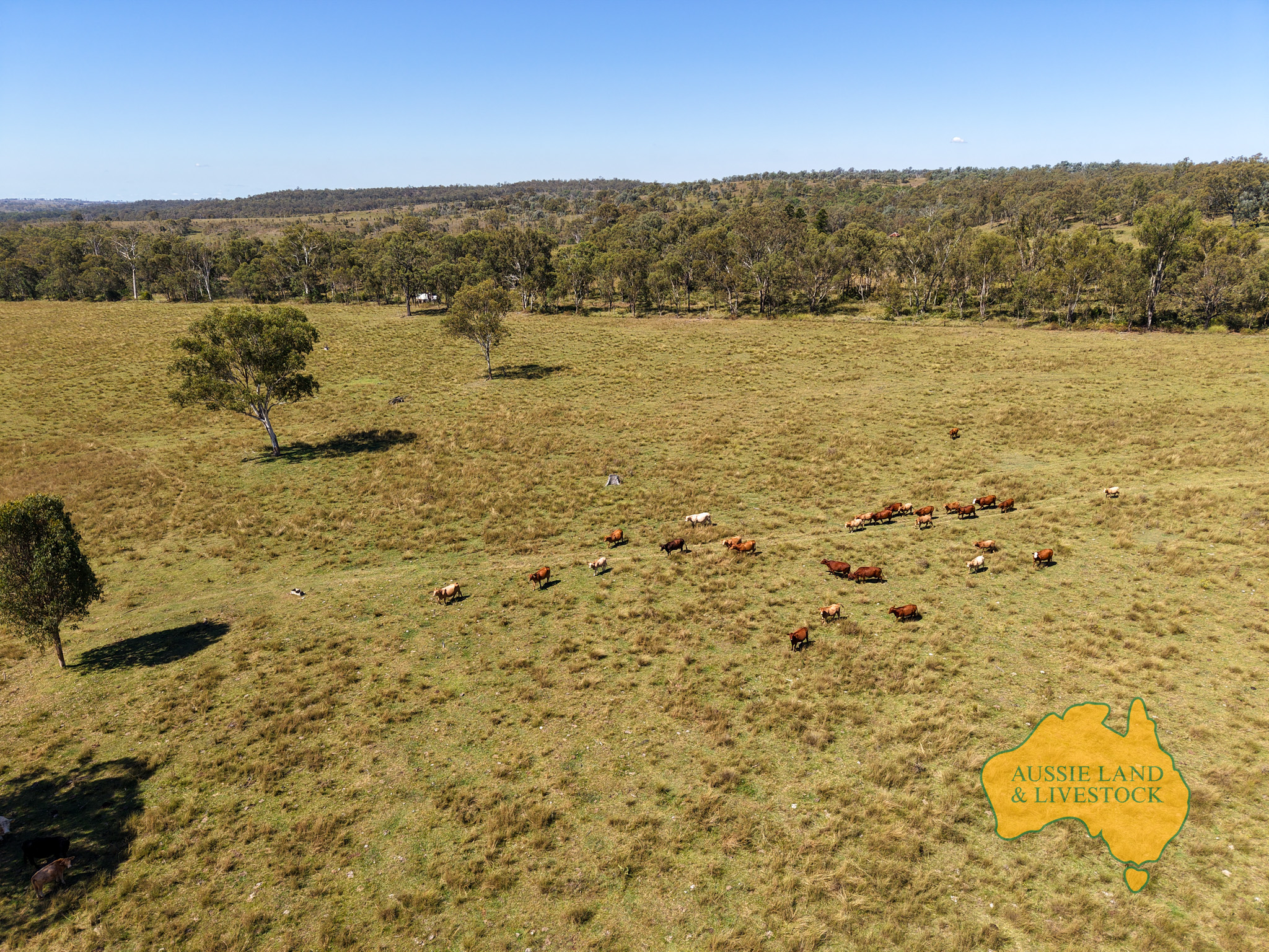 Lot 55&comma; &period; TIM SHEA CREEK ROAD, Wengenville QLD 4615