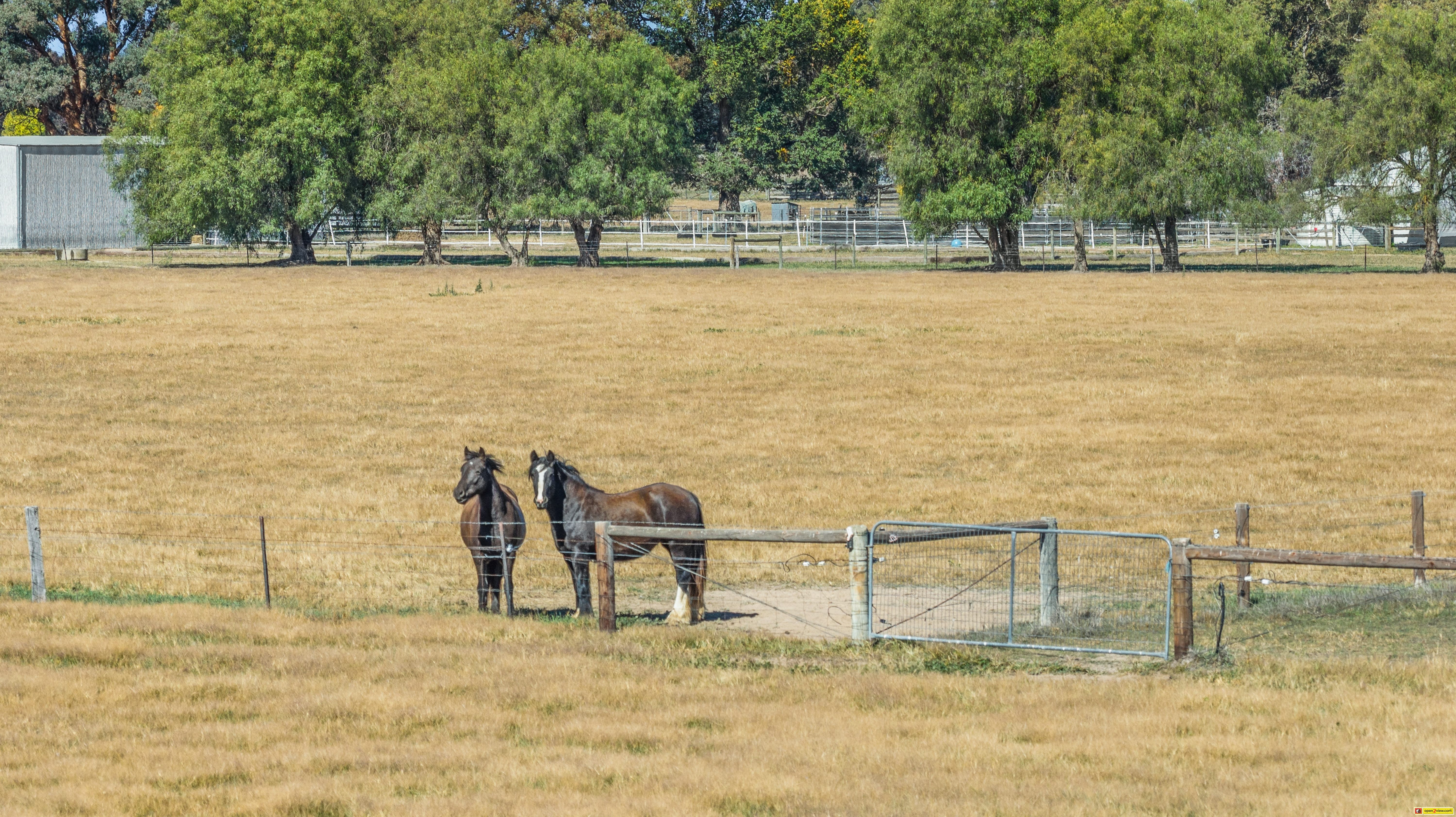 353 Lyons Road, Tarrawingee For Sale by Farmbuy.com - image 31