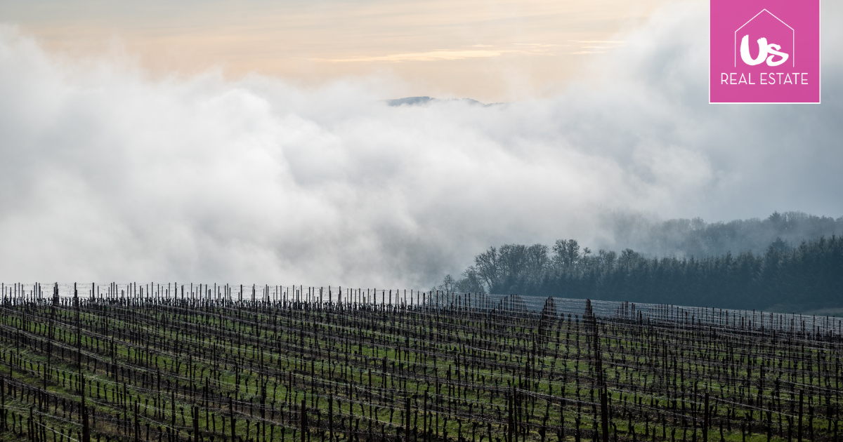 Winter On The Peninsula: A Local Guide