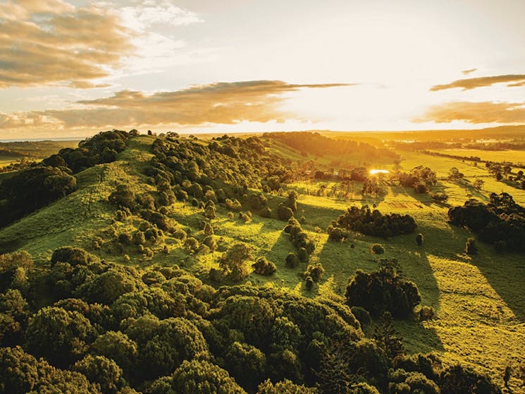 Navigating the Northern Rivers Property Market with Confidence