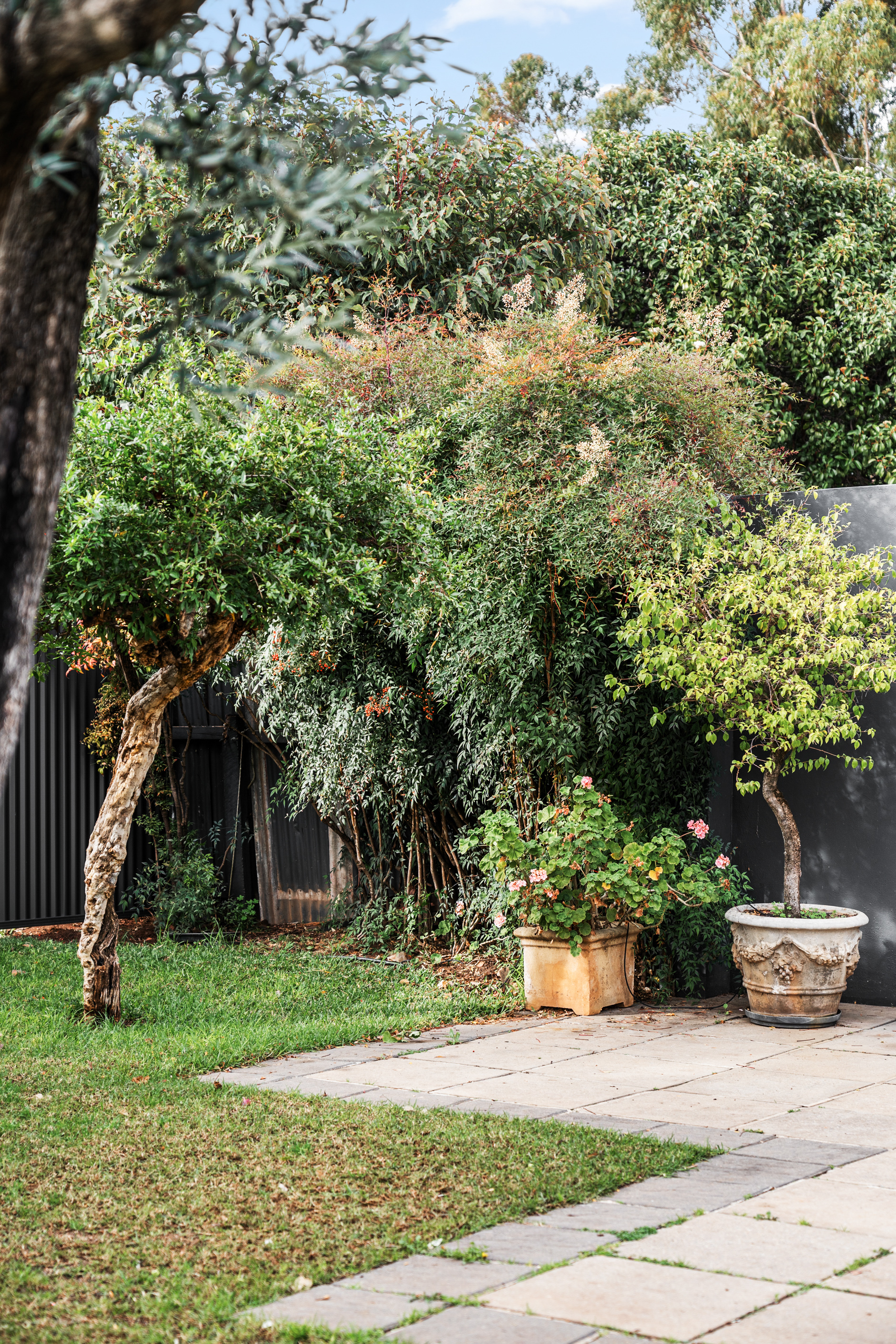 9 Frederick Street, Maylands