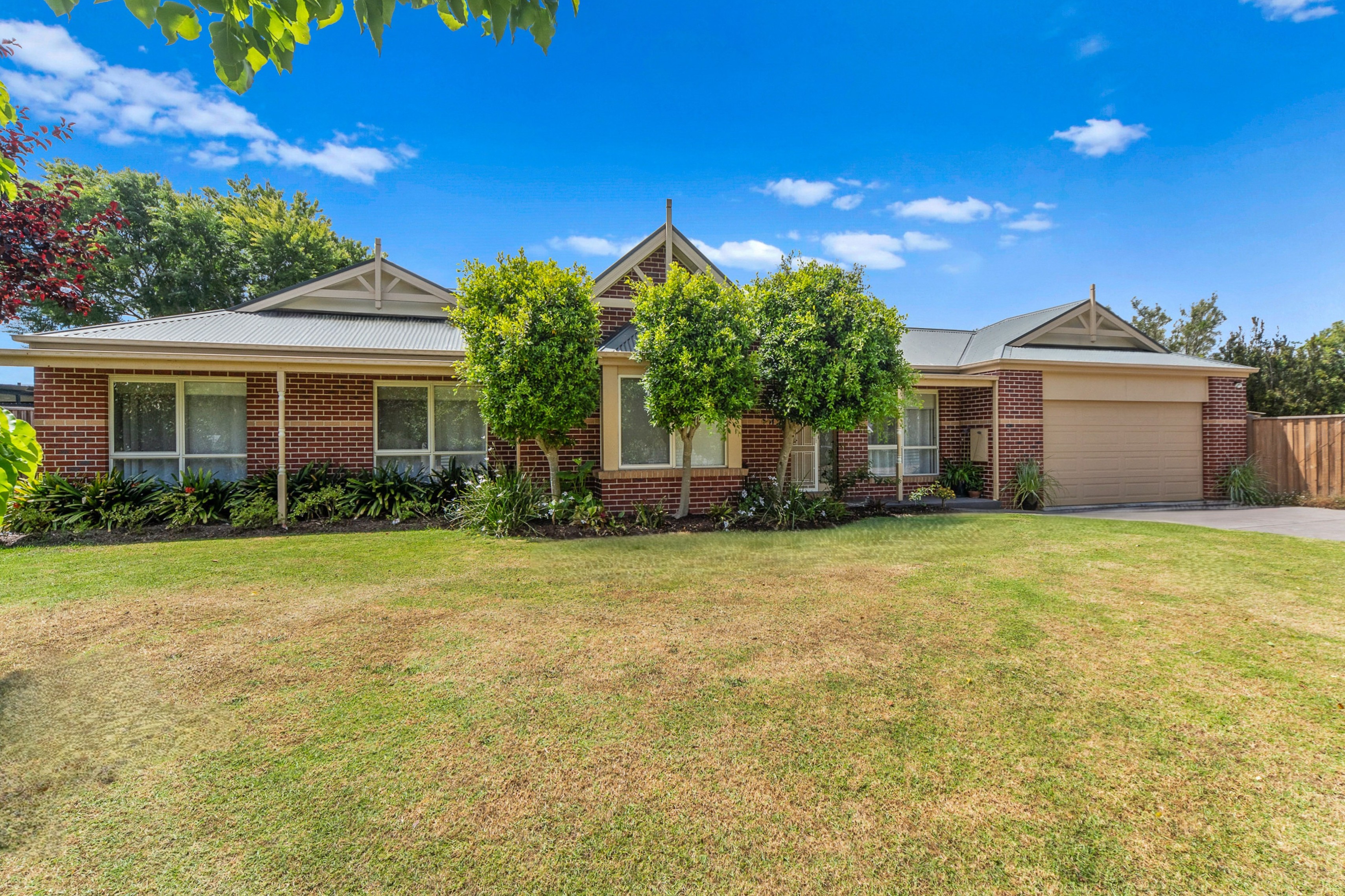 Knowledgeable, Experienced and Professional Agent