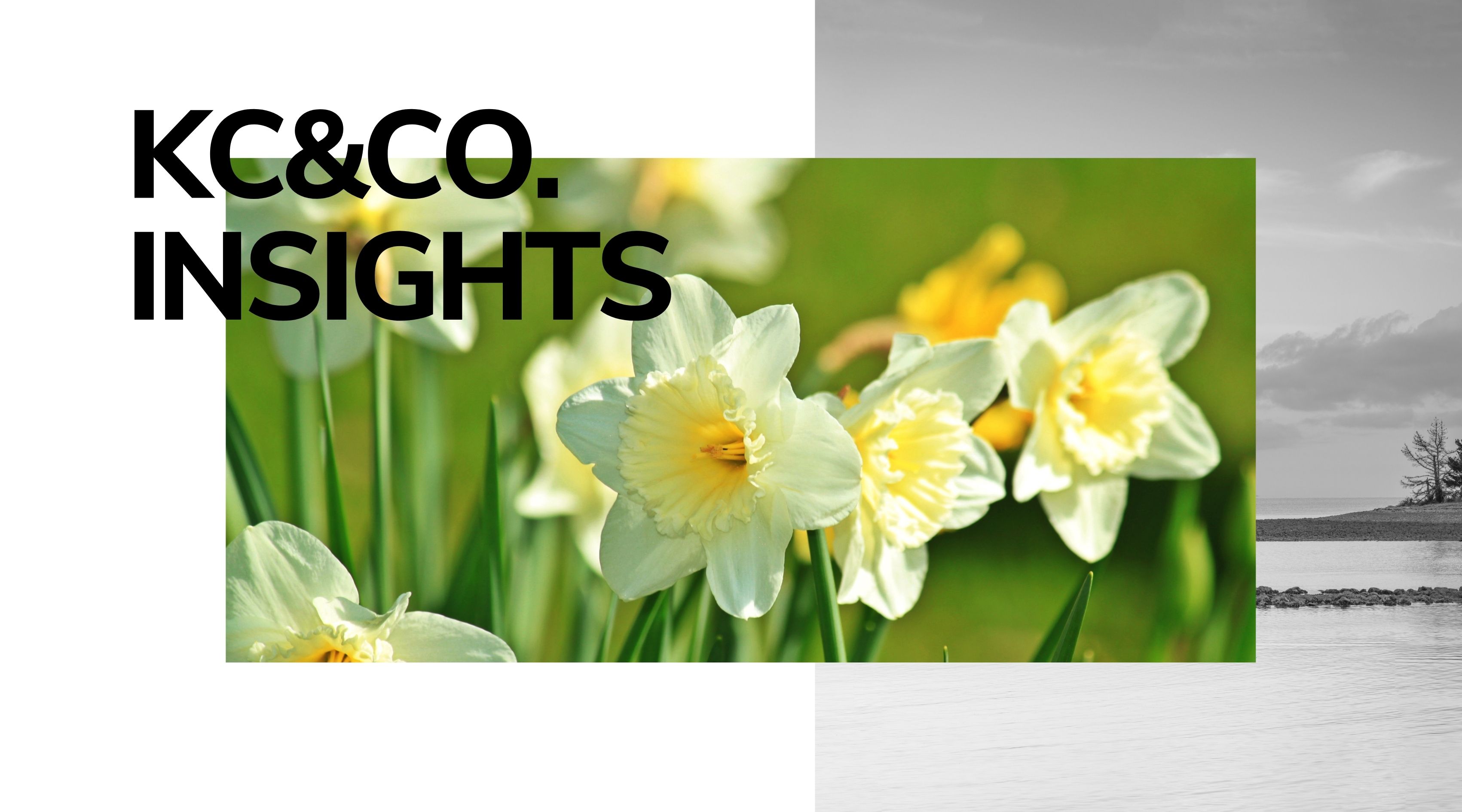 Thinking of selling? Act now to beat the spring rush