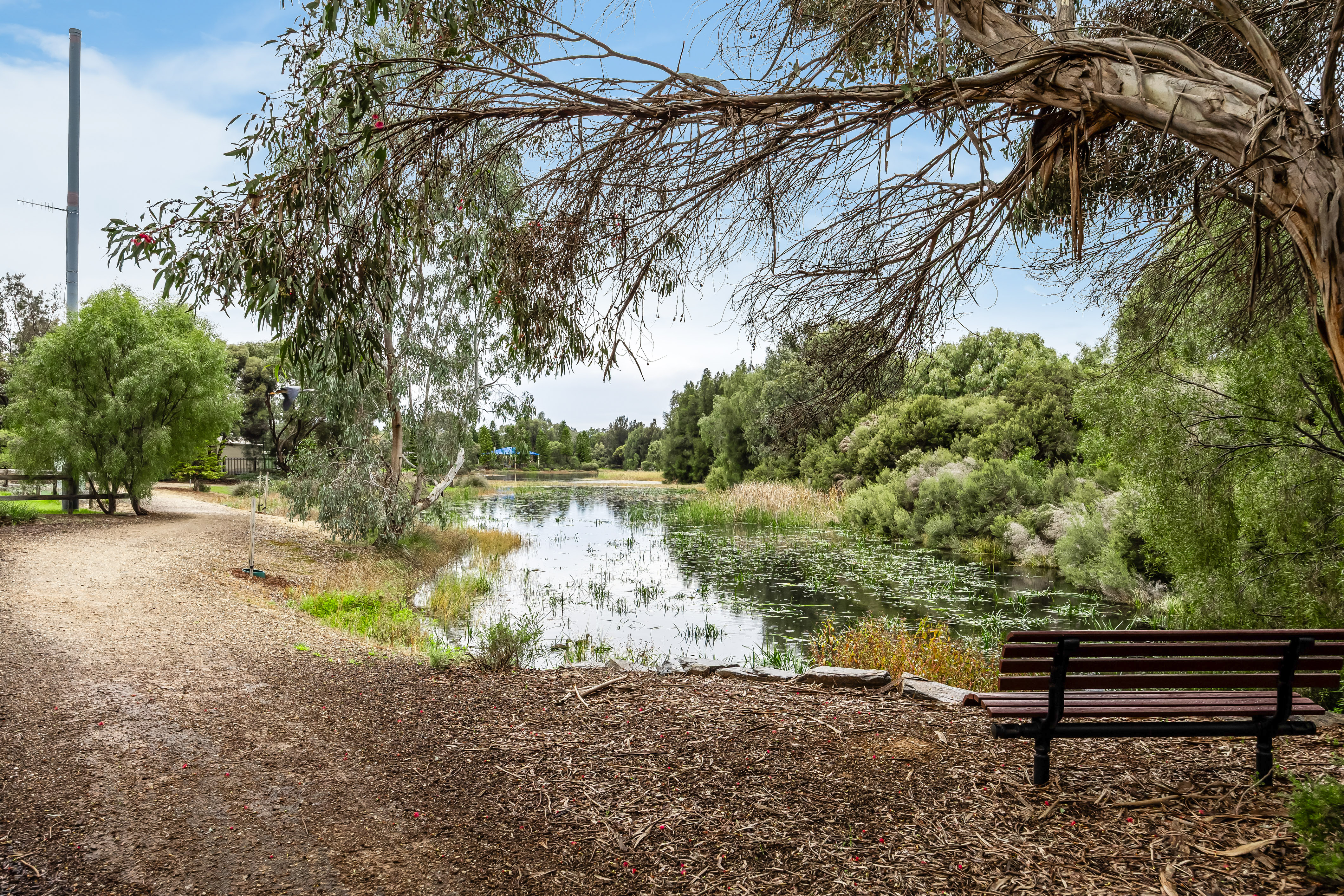 6 Heard Avenue, Mawson Lakes