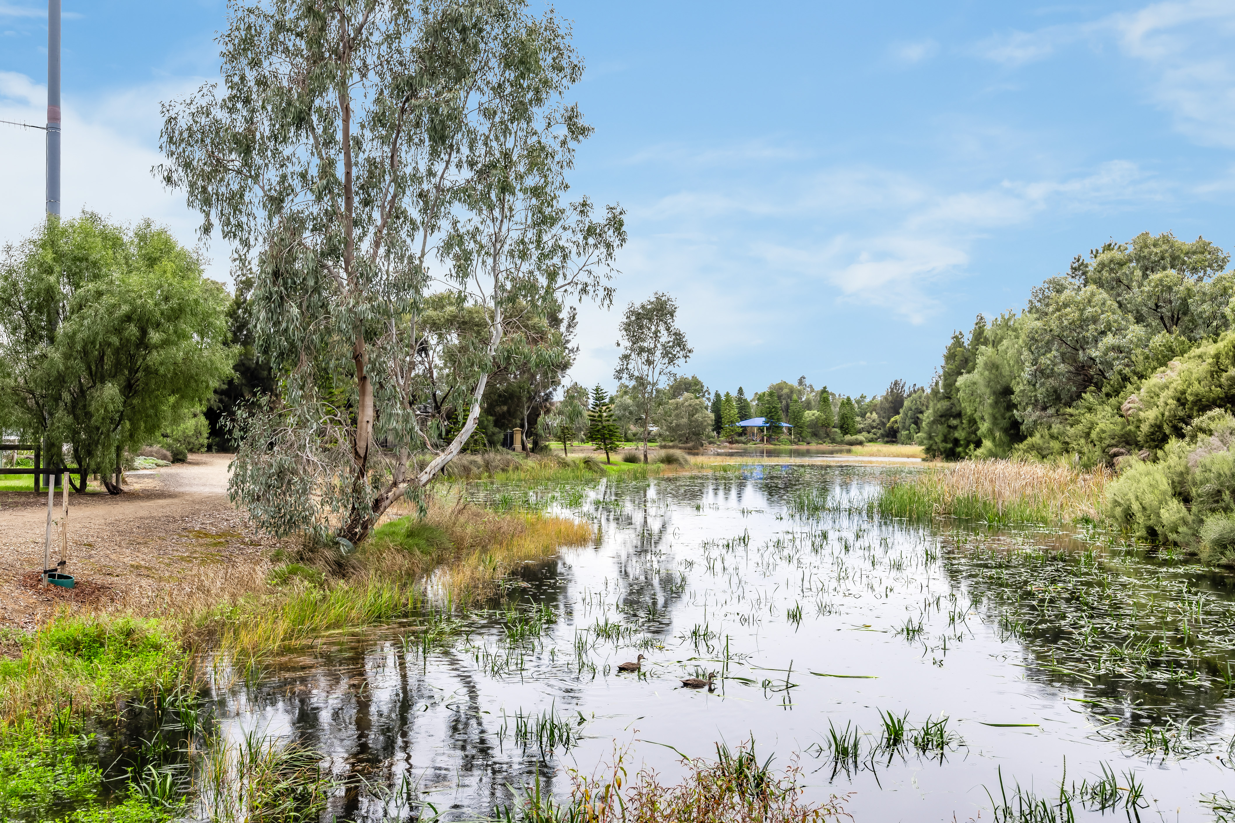 6 Heard Avenue, Mawson Lakes