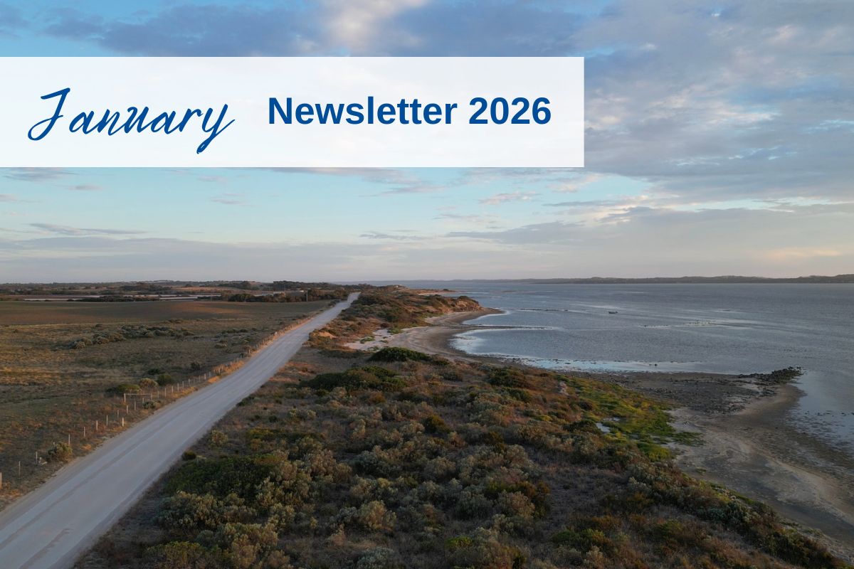 January 2026 Newsletter
