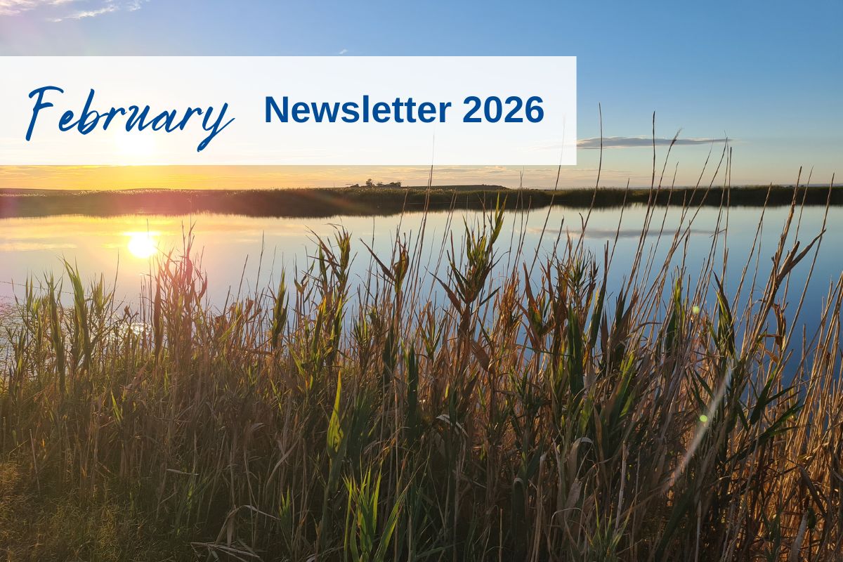 February 2026 Newsletter