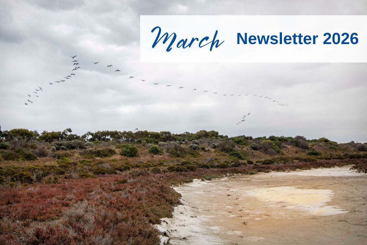 March 2026 Newsletter