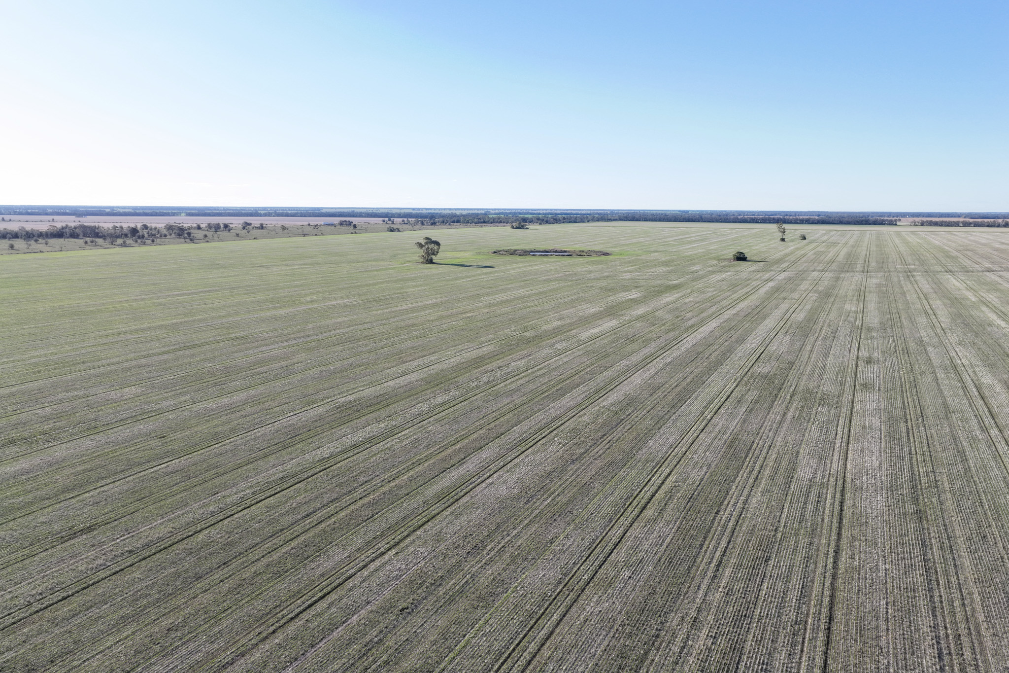 26446 Newell Highway, Moree NSW 2400