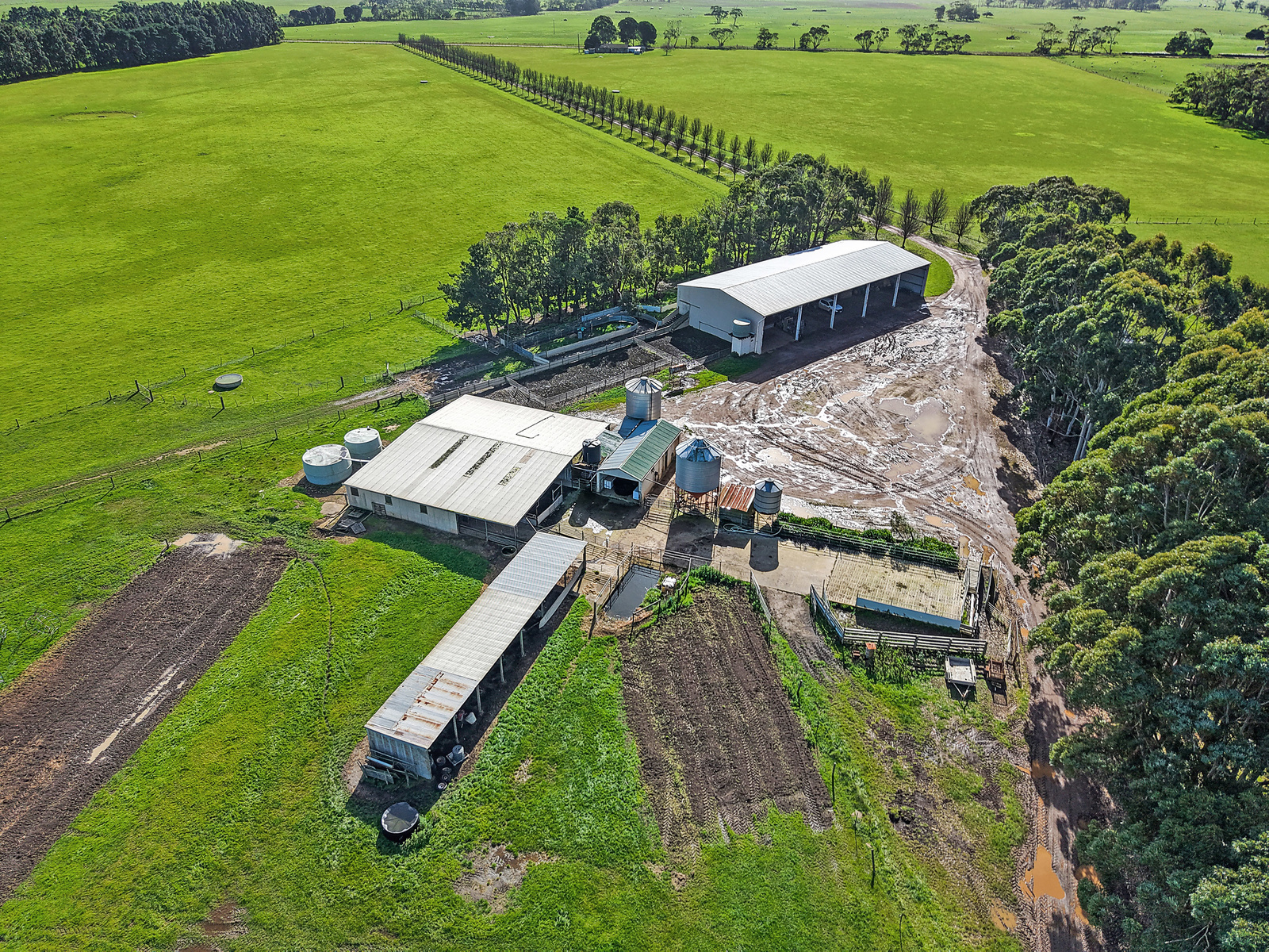 96 Dawsons Lane, Heywood For Sale by Farmbuy.com - image 5