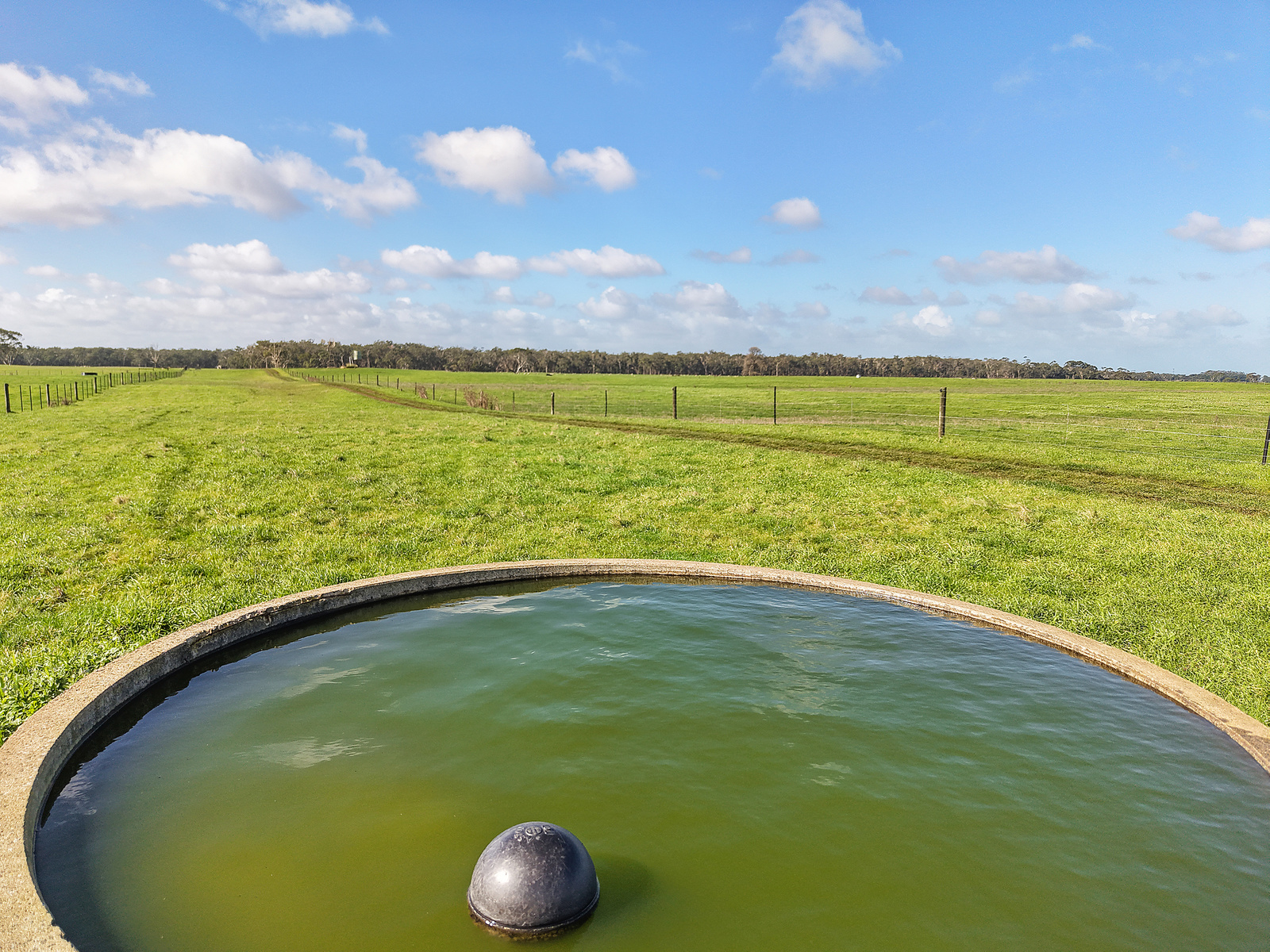 96 Dawsons Lane, Heywood For Sale by Farmbuy.com - image 16