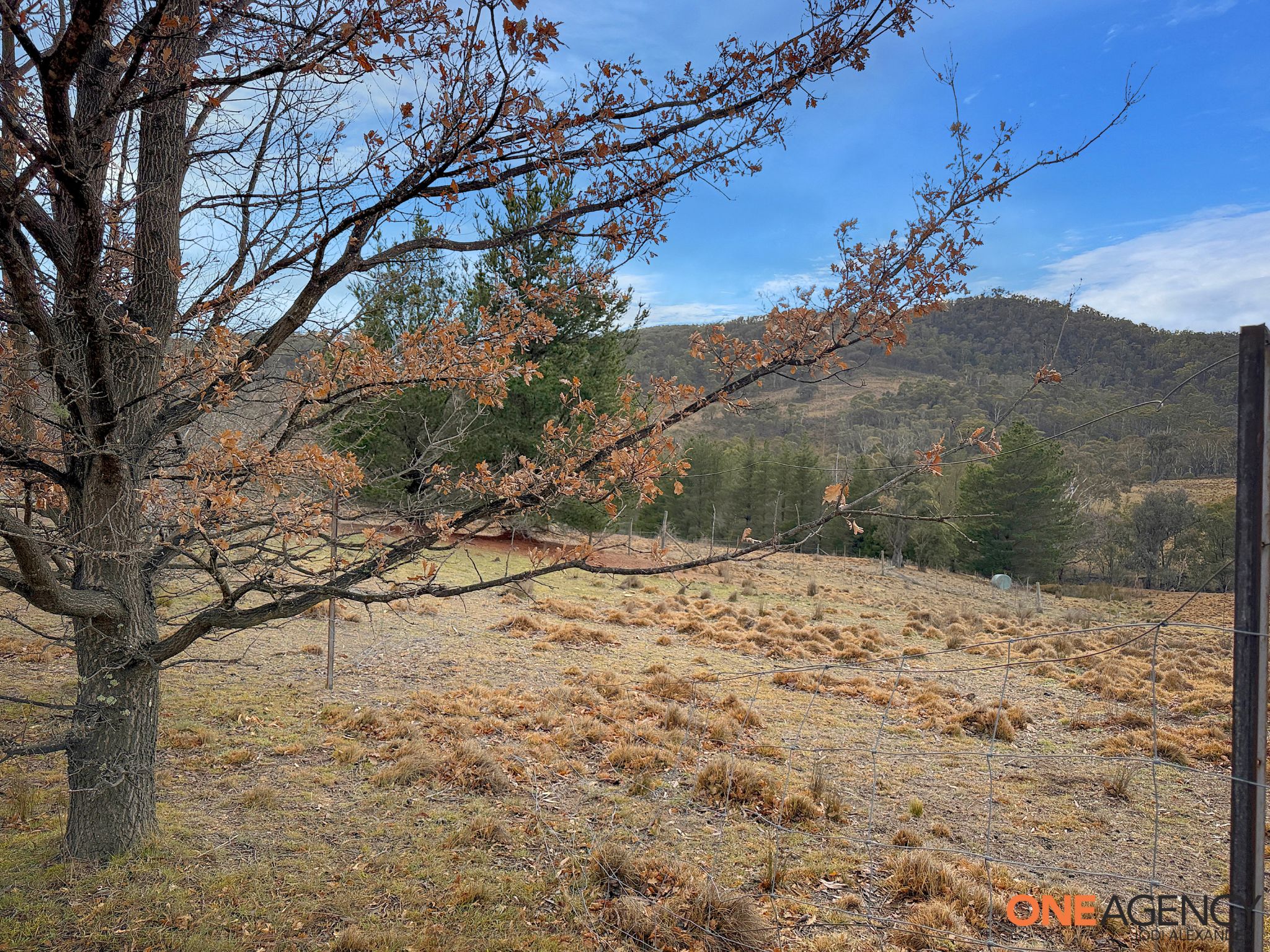 20 Good Good Road, Jerangle For Sale by Farmbuy.com - image 25